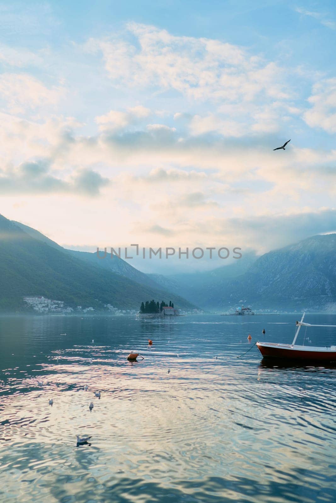 Seagulls sway on the waves near a moored boat. High quality photo
