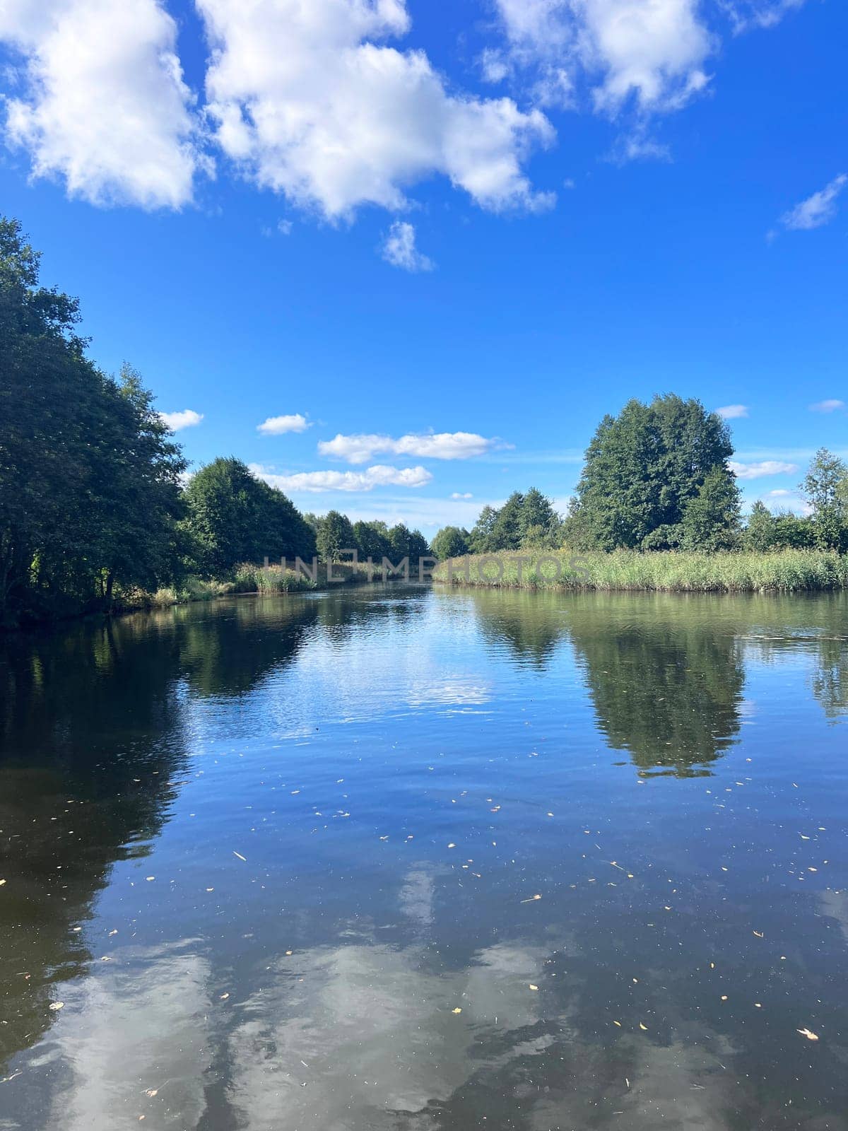 Wonderful panorama of the river. Trees are reflected in the water mirror. by padgurskas