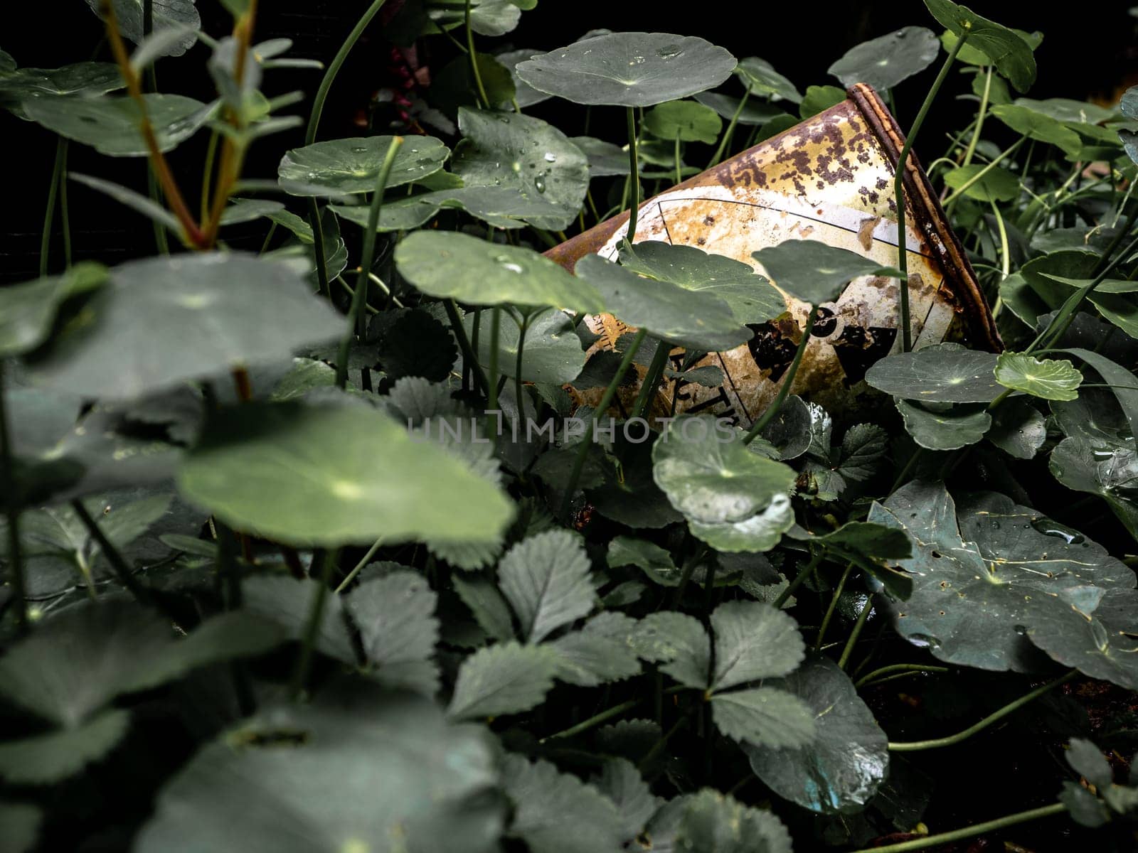 Industrial waste Radioactive material container left behind in the weeds by Satakorn