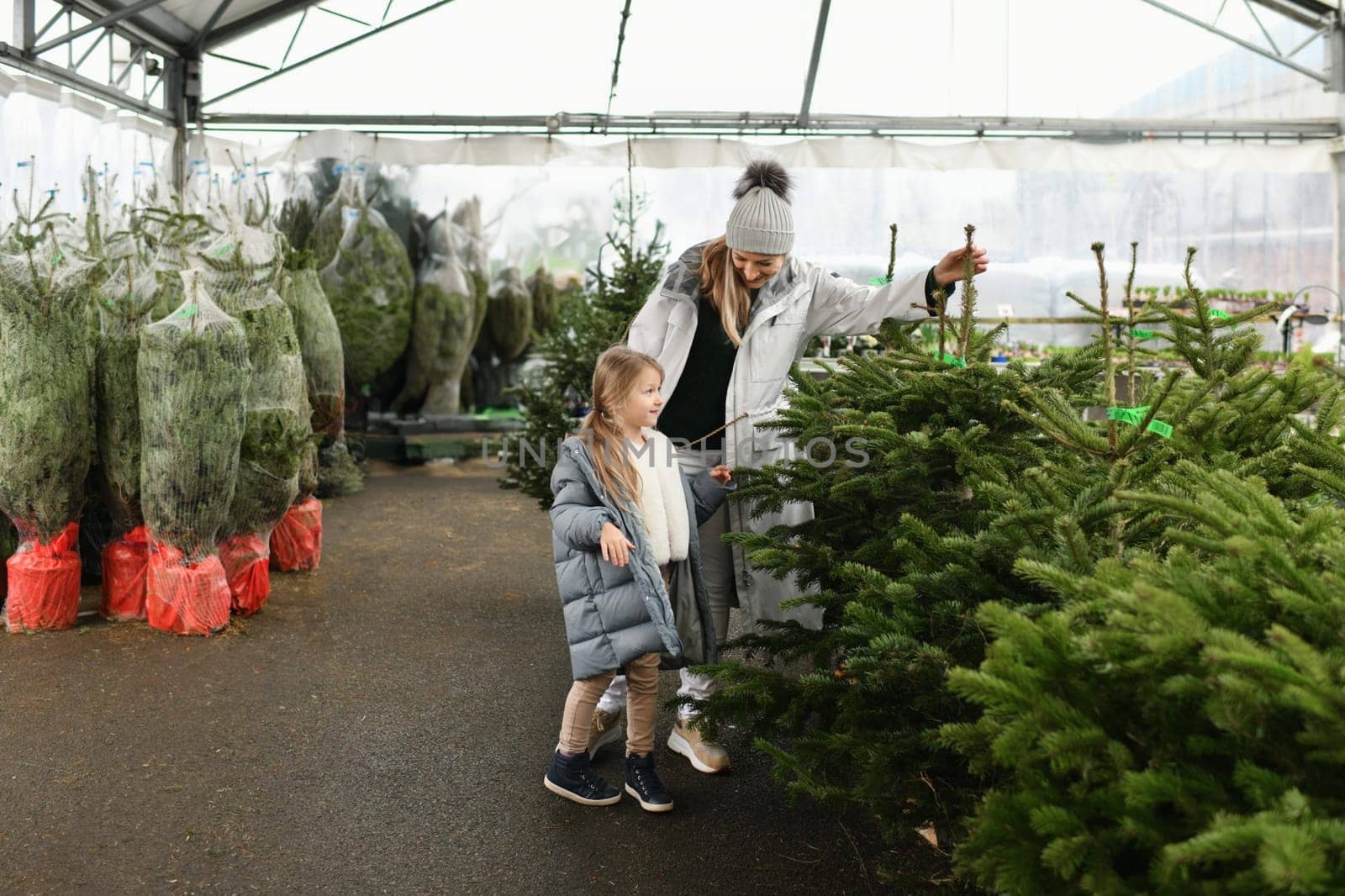 Mother and child buying a Christmas tree in the market.