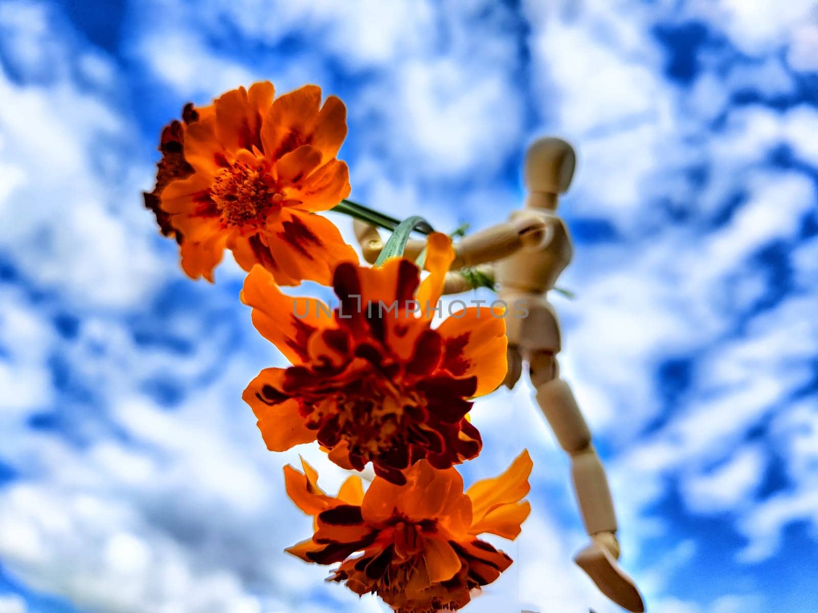 Wooden toy man with flowers and sky with white clouds on backgroudn. Concept of holiday, bouquet, Valentine's Day, proposal, engagement, declaration of love, Mother's Day. Caring, loving, romantic by keleny