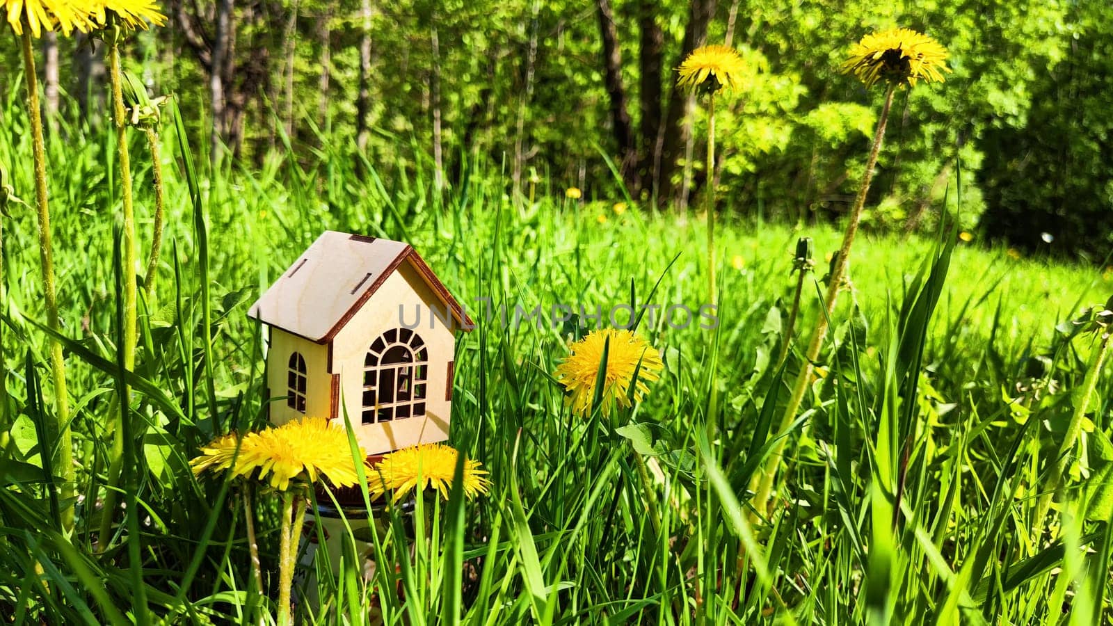 miniature toy house in grass and dandelion flowers, spring natural background. symbol of family. mortgage, construction, rental, property concept. Eco Friendly home. soft selective focus. copy space