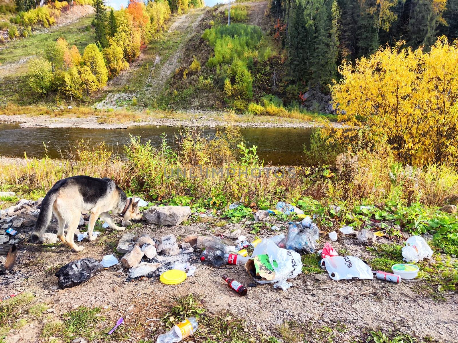 Perm, Russia - September 18, 2023: Pile of garbage left in the beautiful nature. Human damage to the environment. Concept of environmental pollution. Environmental Disaster