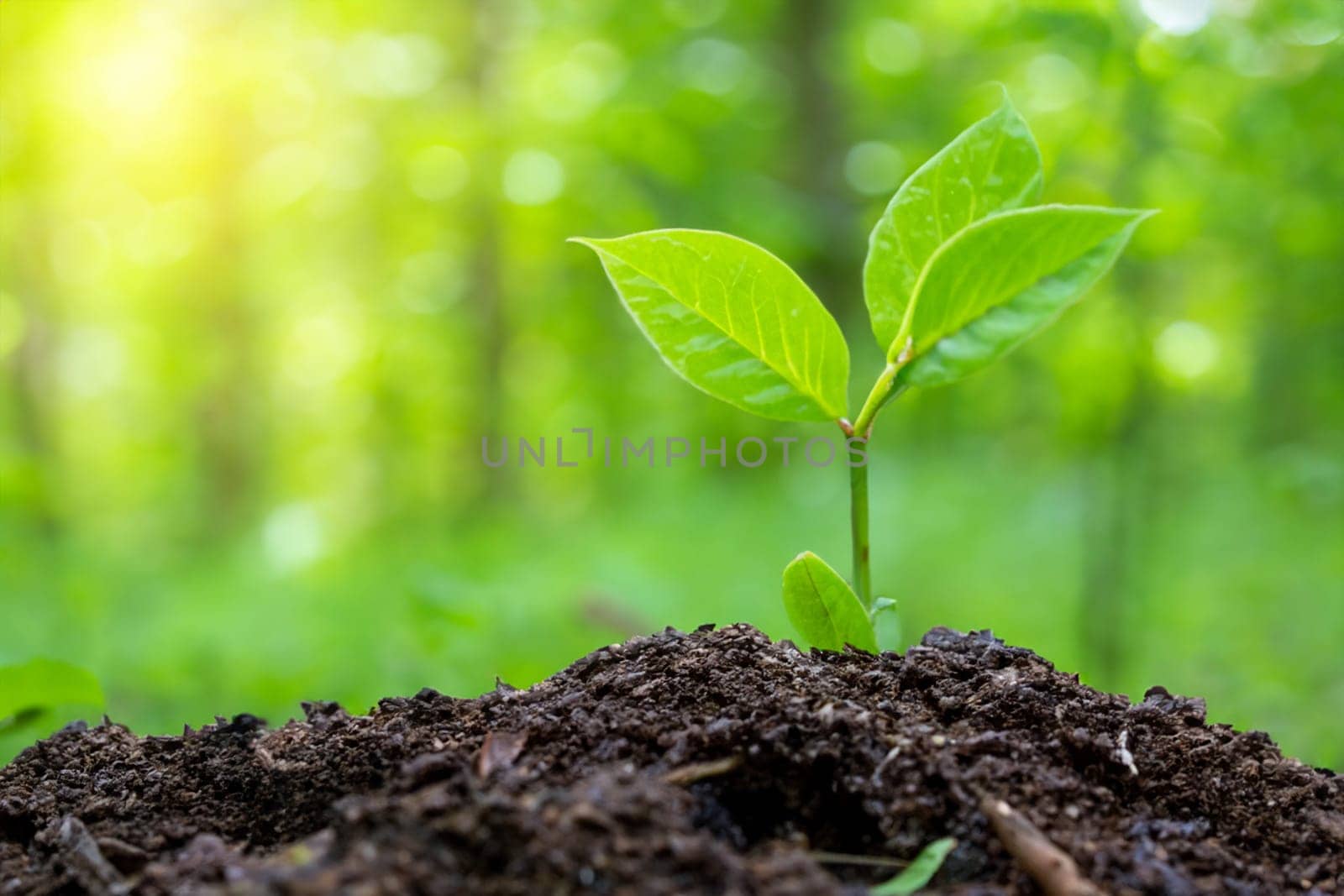 new green young plant growing out of the ground as sign for new life in the forest in spring ai generated