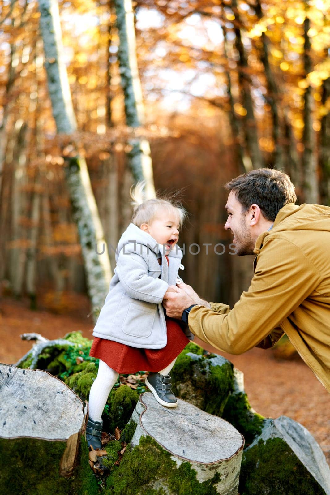Dad holding hands laughing little girl walking on a stump in the autumn forest. High quality photo
