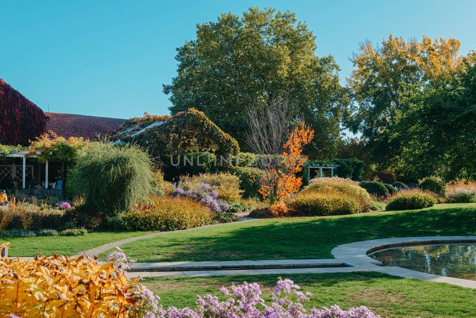 House with nice garden in fall. Flowers in the Park. Bietigheim-Bissingen. Germany, Europe. Autumn Park and house, nobody, bush and grenery