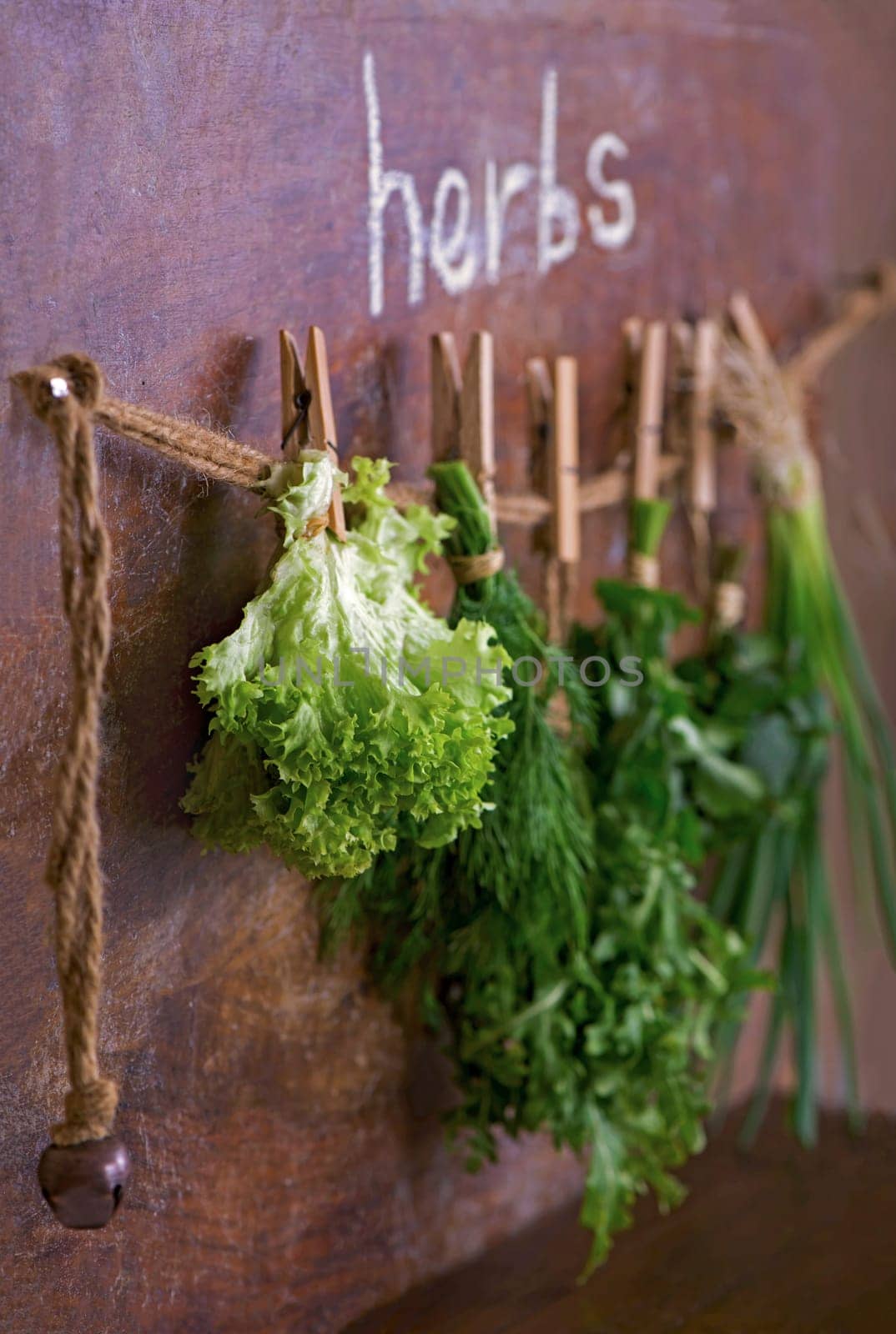 Fresh herbs hanging over wooden background