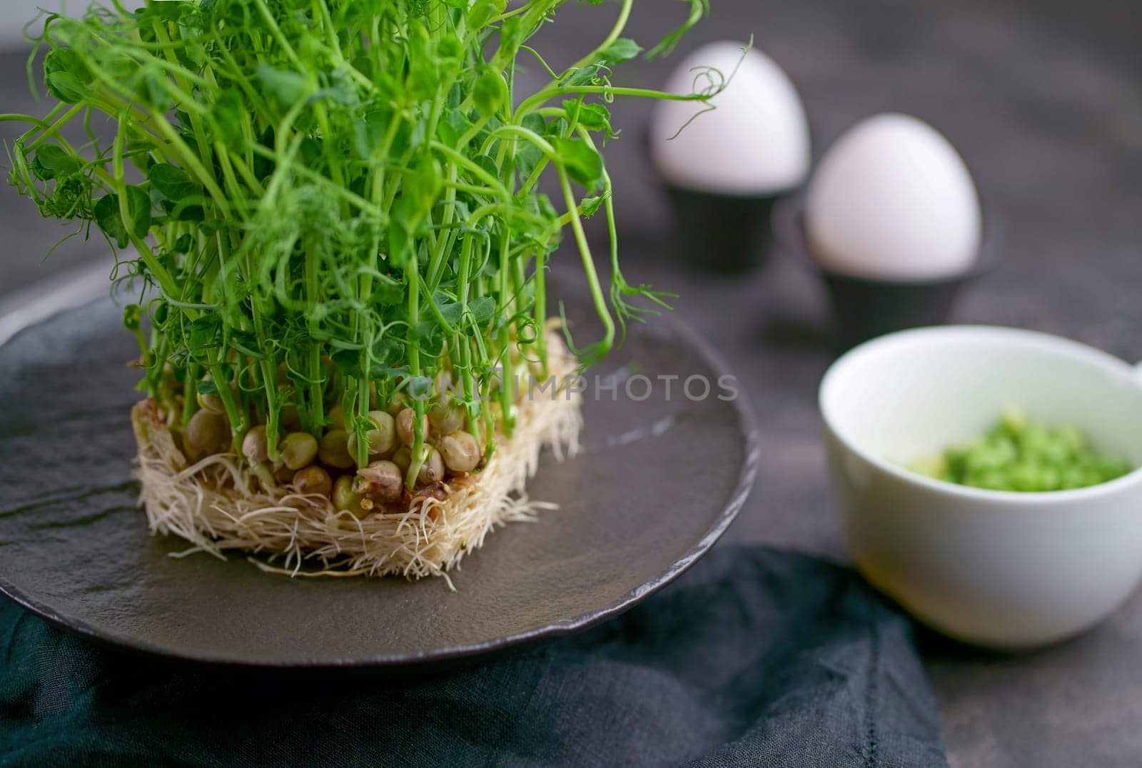 Assortment of micro greens at black background, copy space, top view. Healthy lifestyle