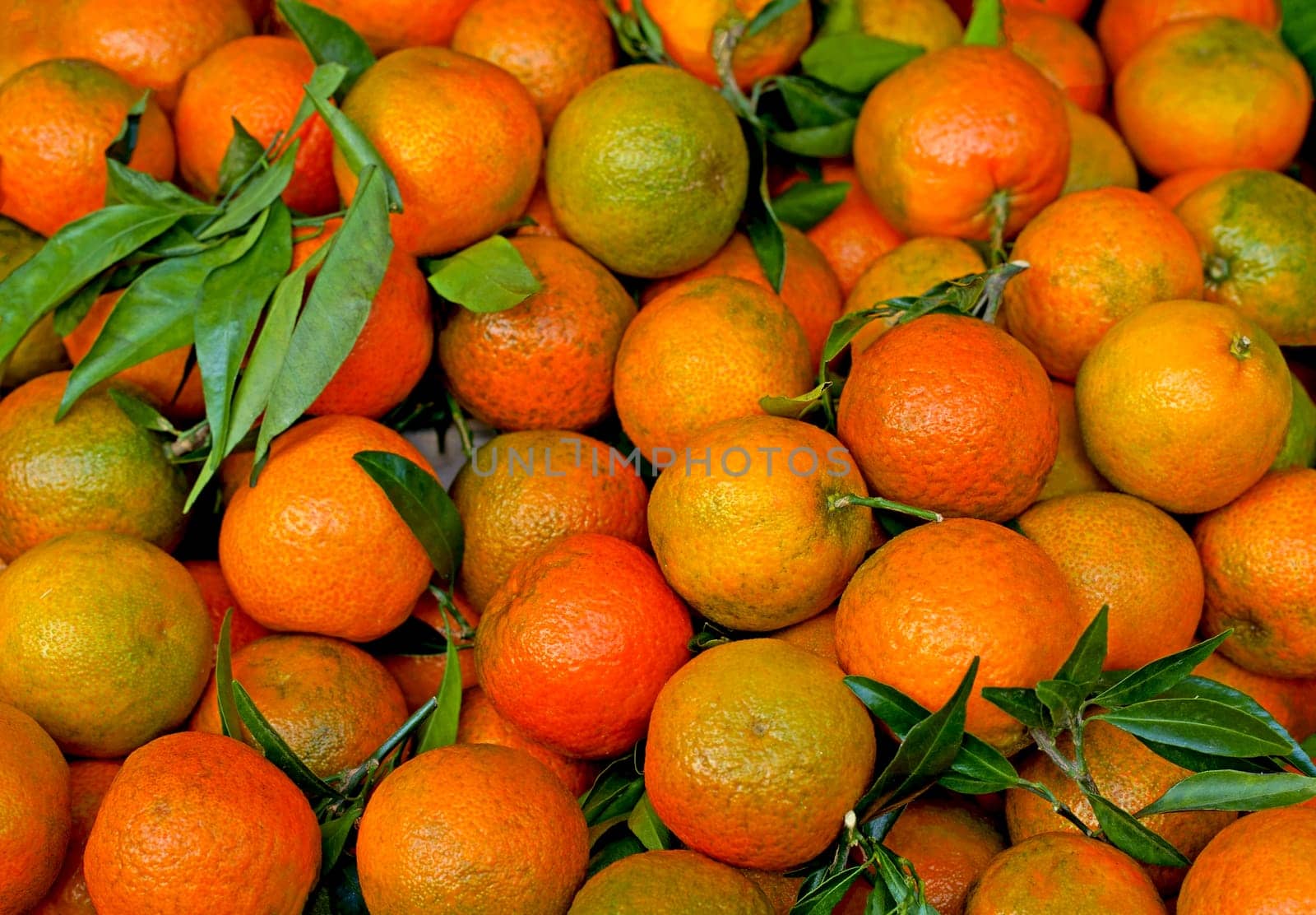 Local market. Boxes with tangerines. Fresh mandarin oranges or tangerines fruit with leaves in boxes at the open air local food market. Wholesale depot of exotic fruits. by aprilphoto