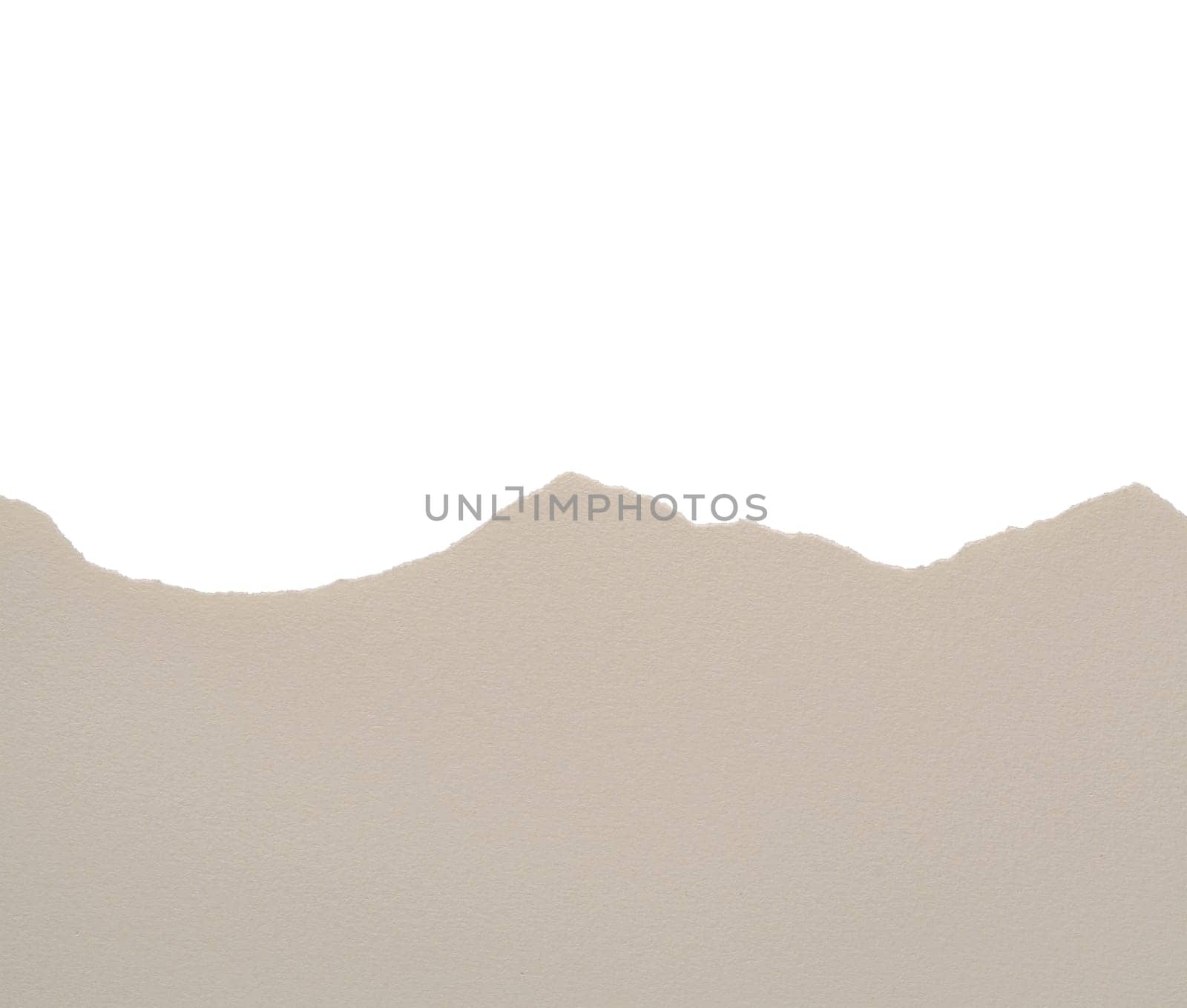  torn strip of paper on a transparent background