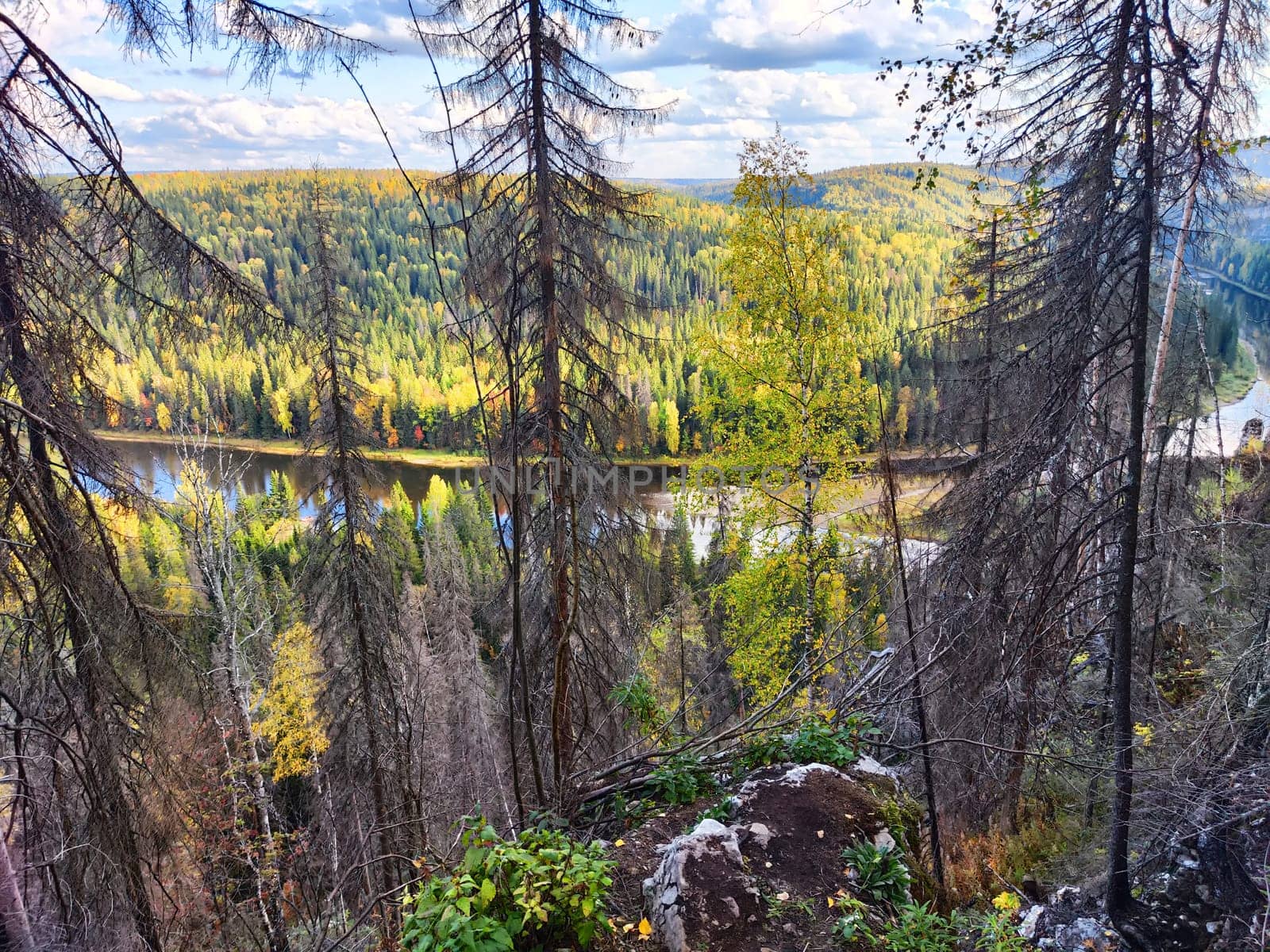 View from height on beautiful amazing landscape with trees, greenery, river below, distant horizon and blue sky with white clouds. Nature in the mountains or hills. The concept of freedom and travel