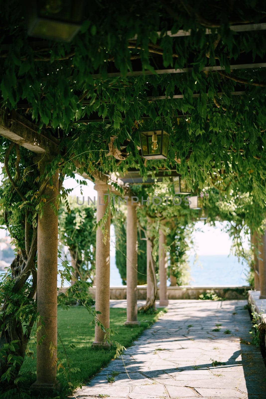 Long pergola with lamps on the beams entwined with greenery overlooks the sea. High quality photo