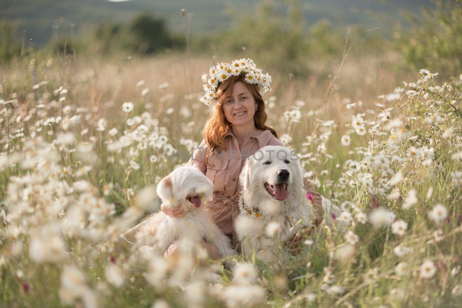 Woman dogs meadow chamomile. Woman embraces her furry friends in a serene chamomile field, surrounded by lush greenery. A heartwarming display of love and companionship between a woman and her dog. by Matiunina