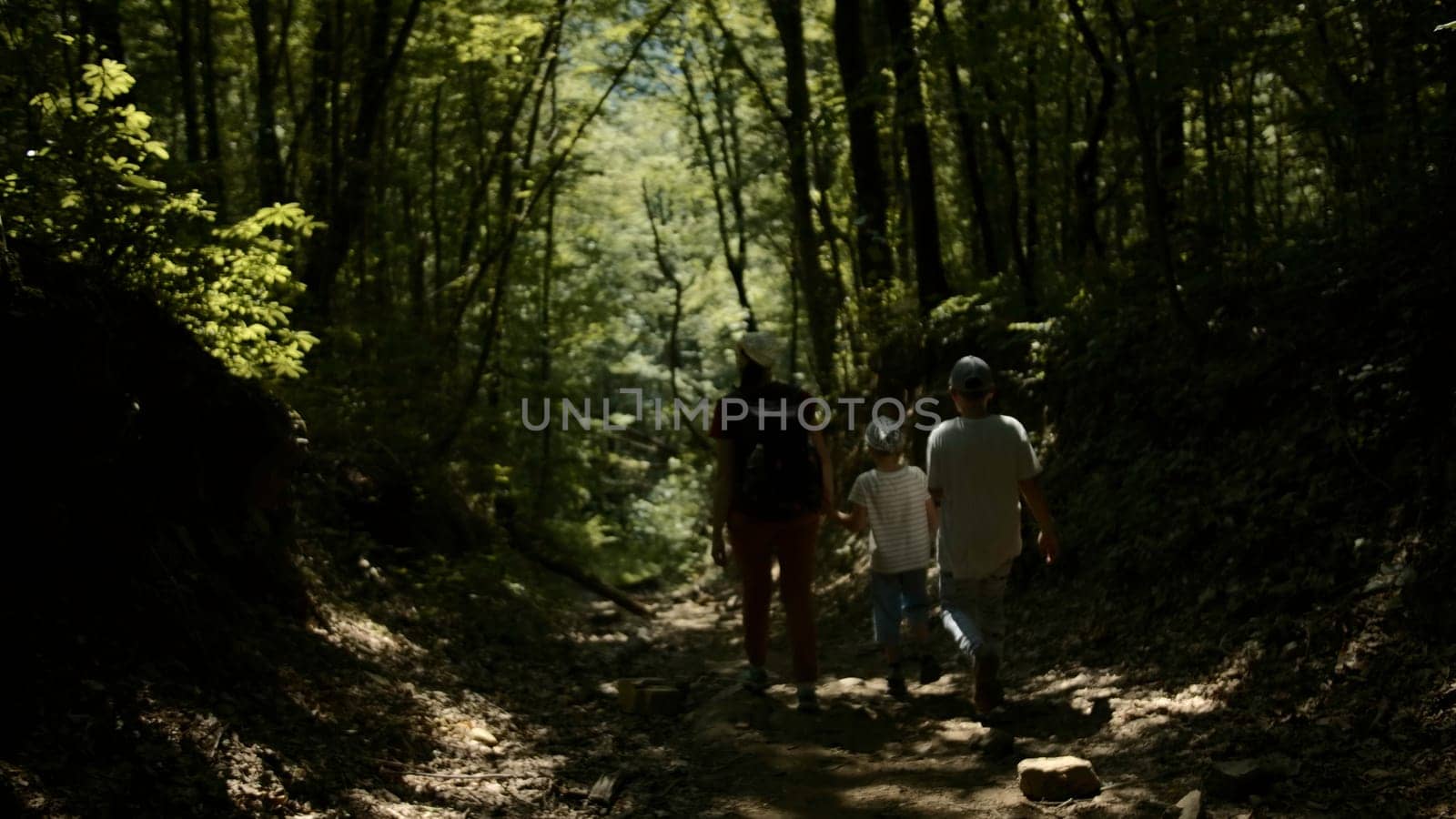 Tourists teamwork, happy family hiking in the forest climbing. Creative. Rear view of a mother with boys walking through jungles
