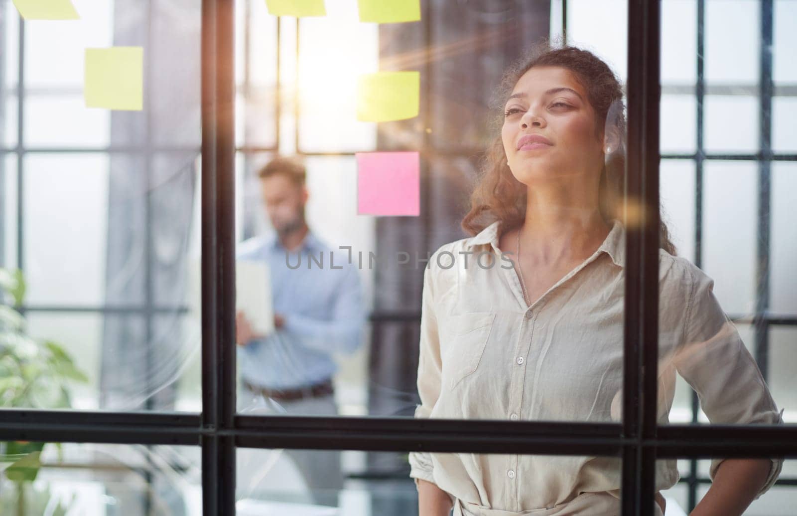 Bringing her vision to life. Shot of a confident businesswoman presenting an idea to her colleague using adhesive notes on a glass wall in the office.