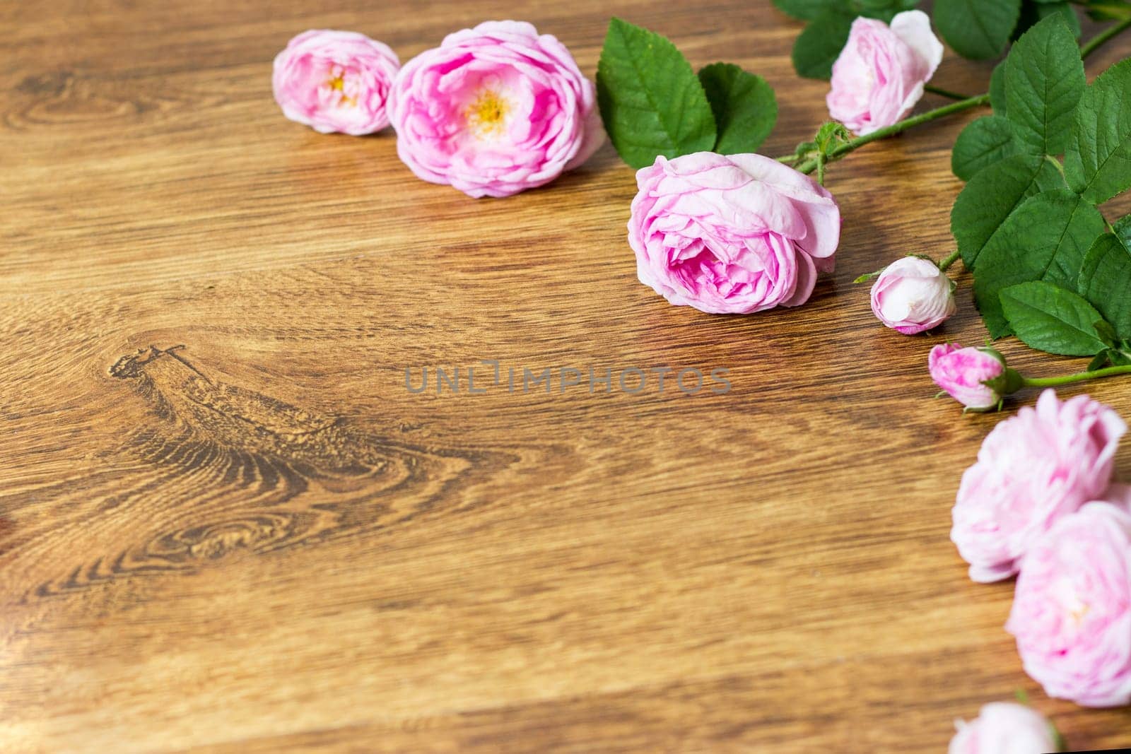 Flower tea rose buds on old wooden table.