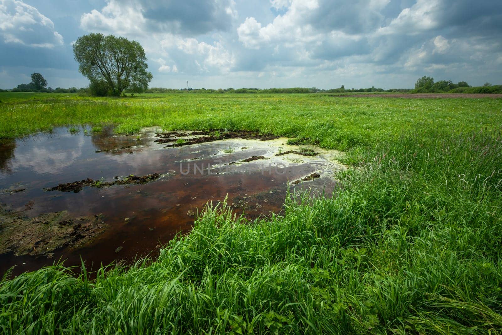 A puddle of water on a green meadow and a cloudy sky by darekb22