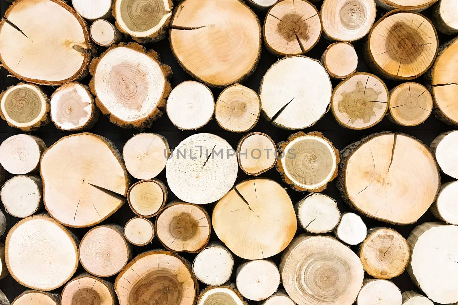 round teak wood stump background. Trees cut section for background texture.