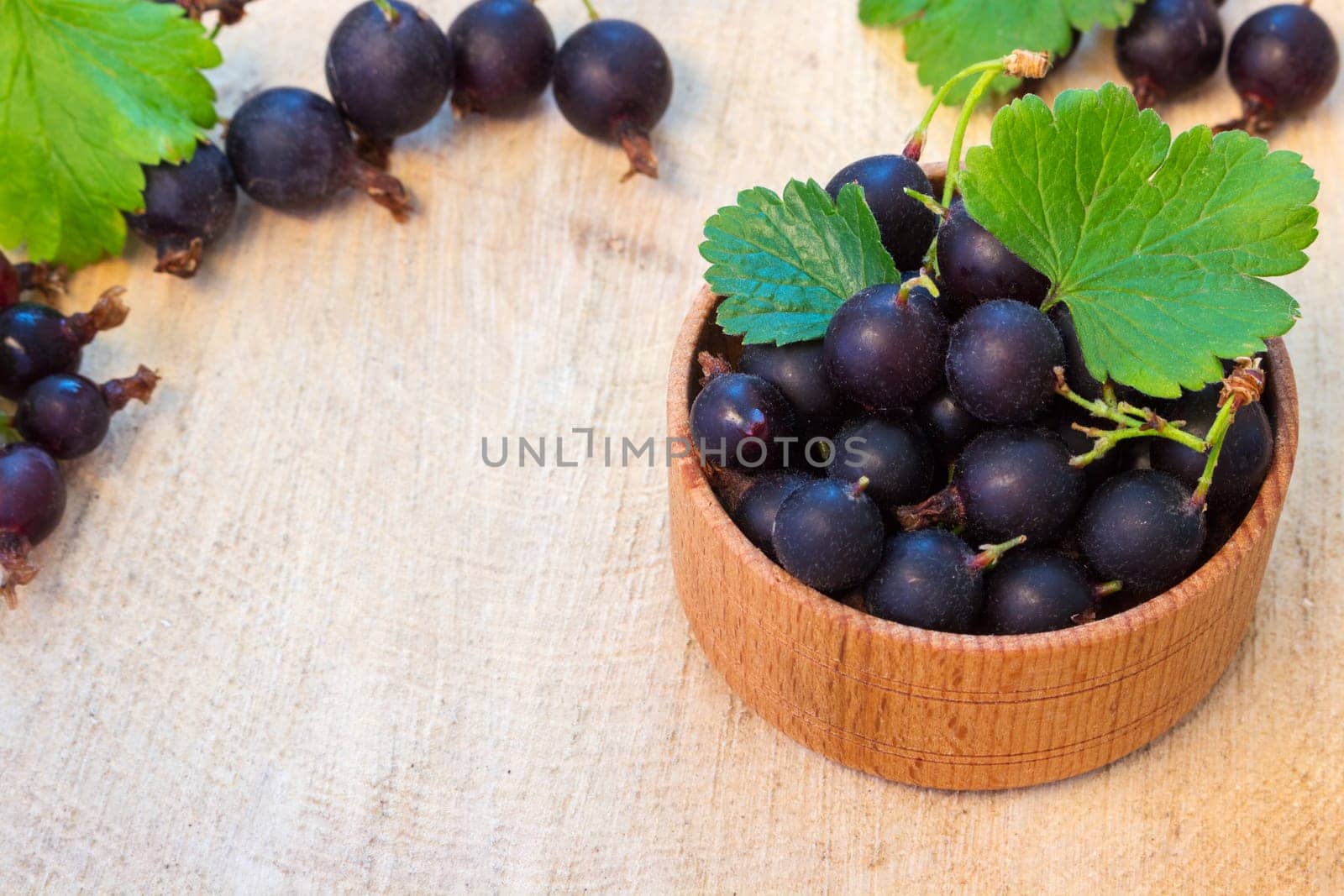 black currants in the bowl on a wooden stump