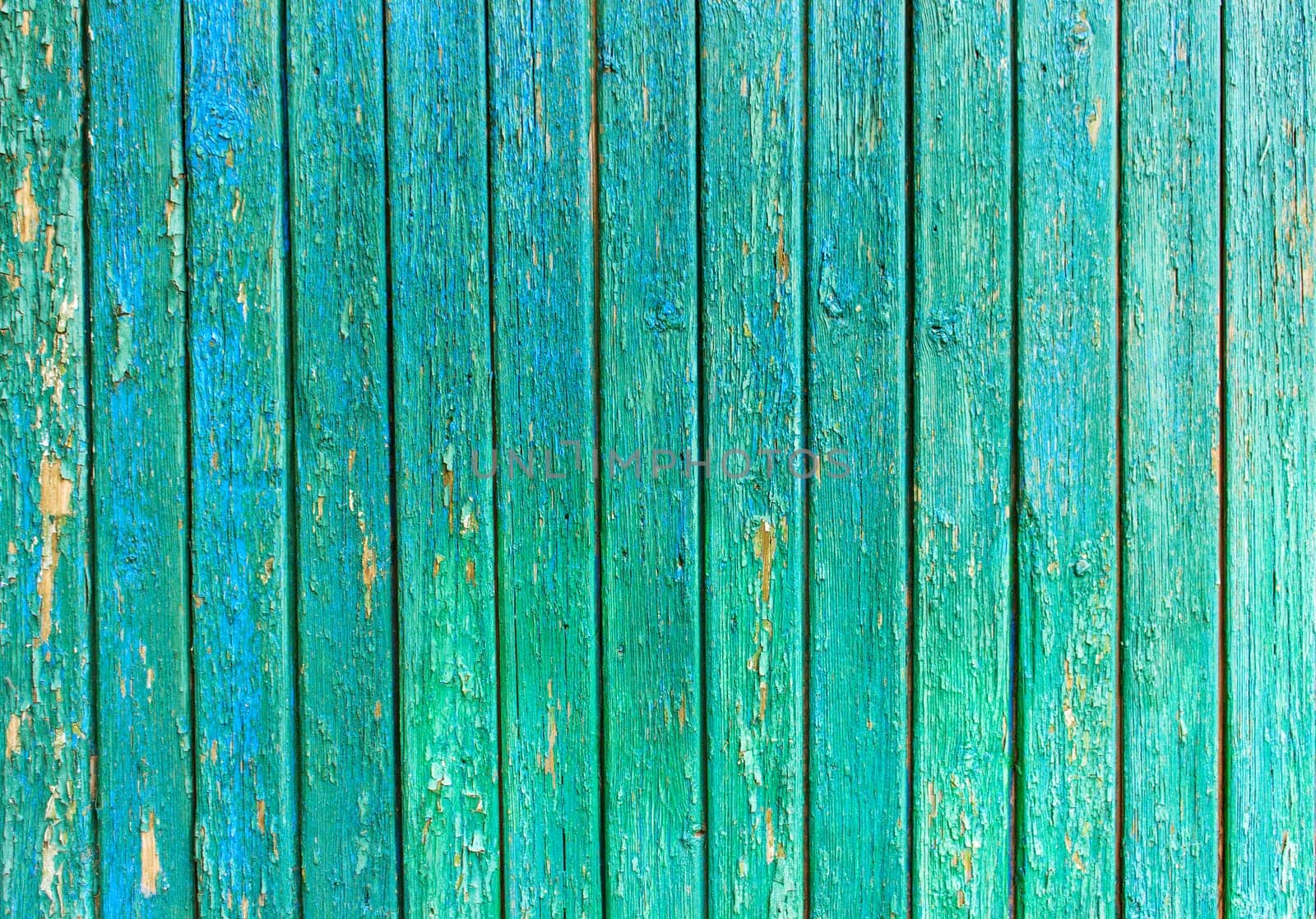 Bright green wooden background with peeling paint and vertical boards by Snegok1967