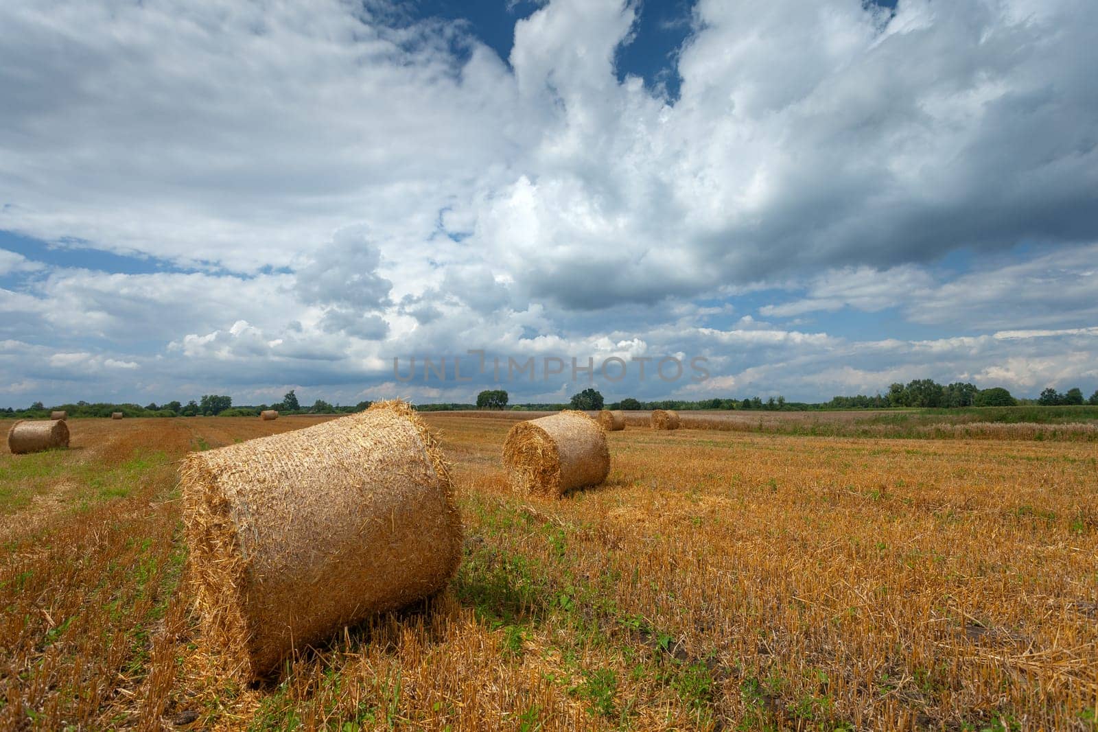 Hay bales in the field and clouds on the sky, summer view by darekb22