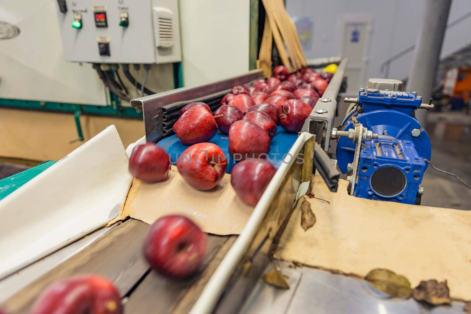apples on the sorting line by zokov
