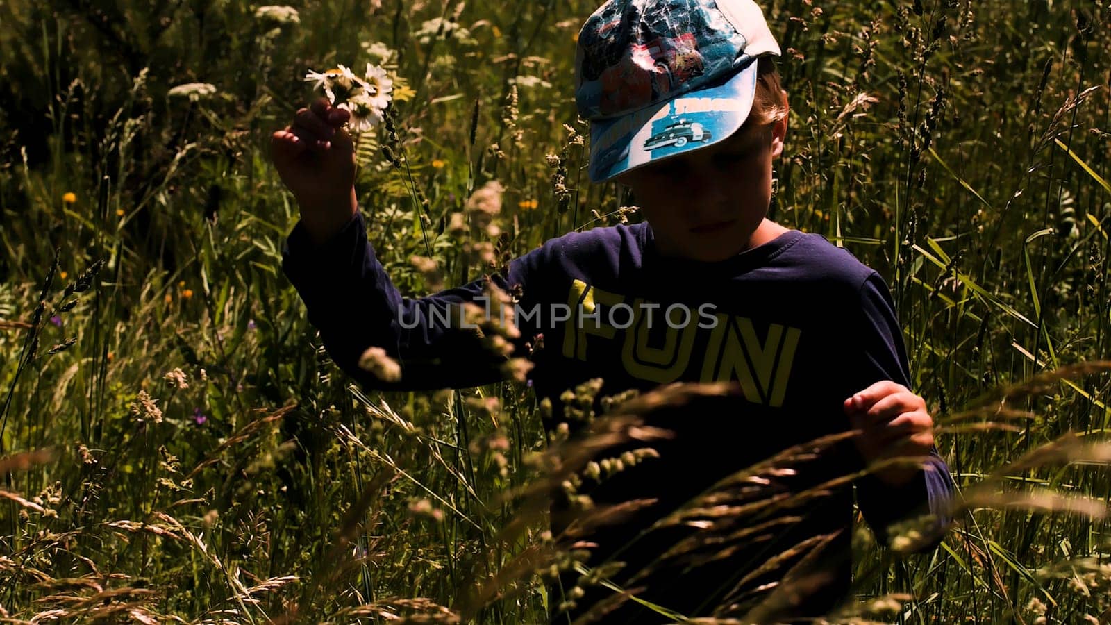 A boy in the field. Creative. A little boy in summer clothes and a cap who stands in a field with tall grass and collects daisies