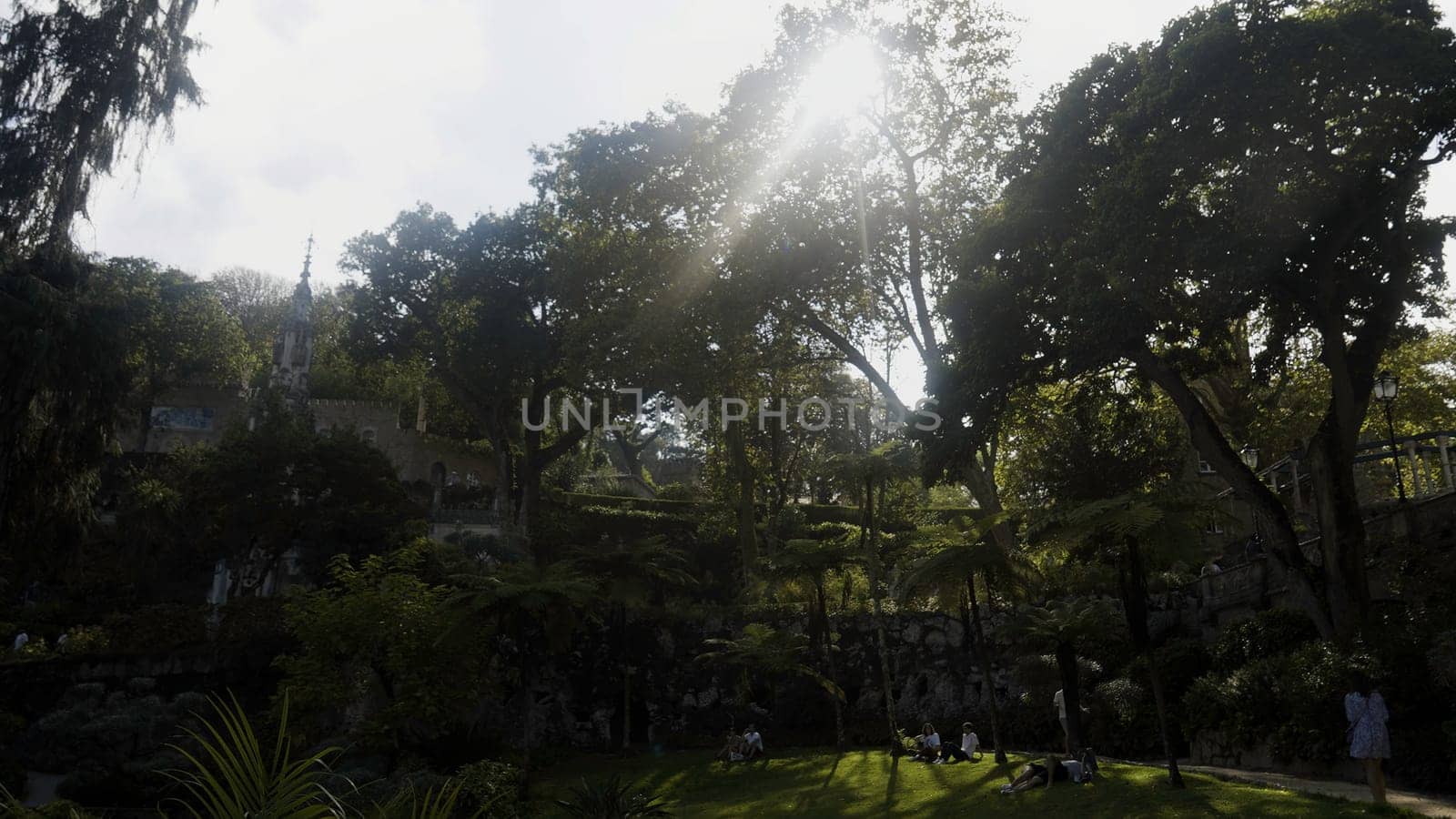 Luxury green garden of the summer manor. Action. Sun shining through leaves of green trees