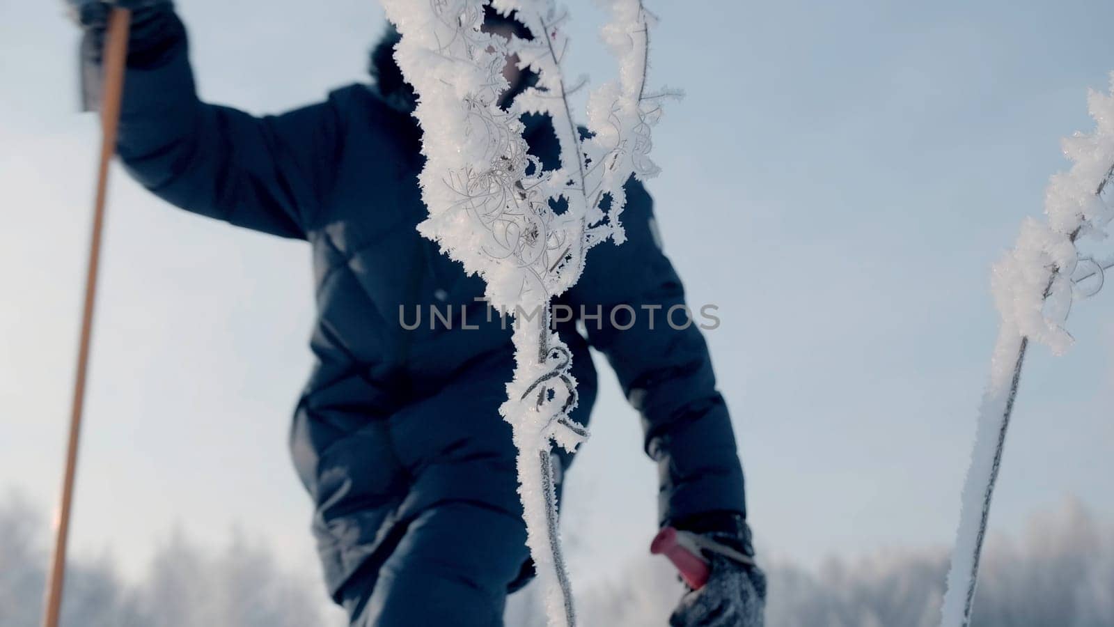 Boy walks with sticks in winter. Creative. Boy walks in winter with Scandinavian sticks. Winter sports walks on sunny day.