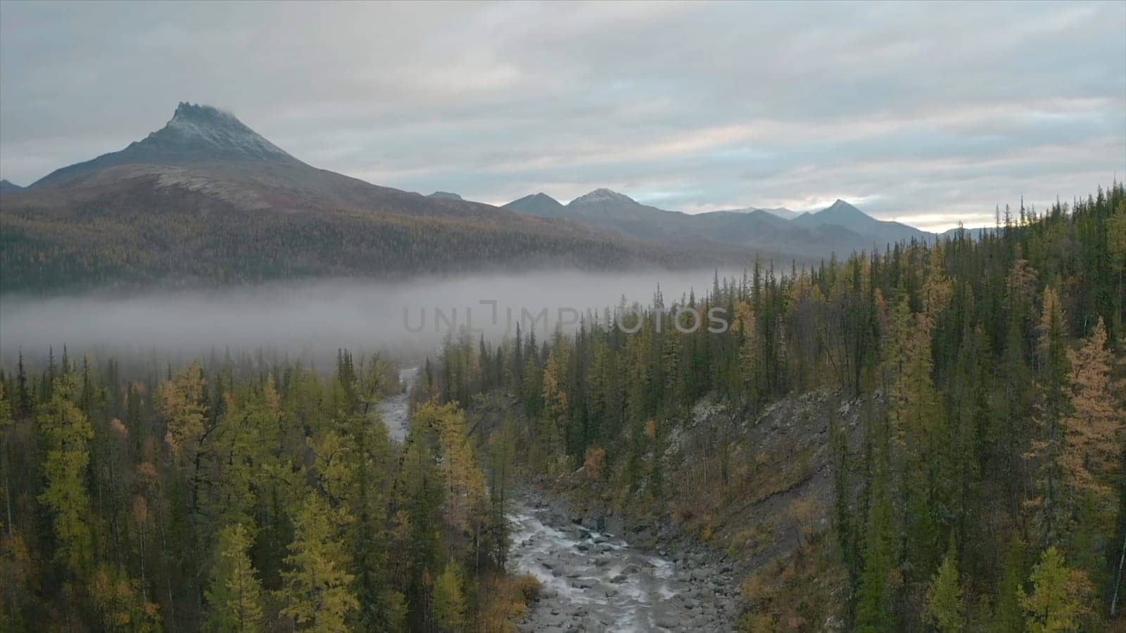 Top view of forest landscape with river and mountains with fog. Clip. Beautiful cloudy day over forest valley with river and mountains. Mountain river in forest area and fog.