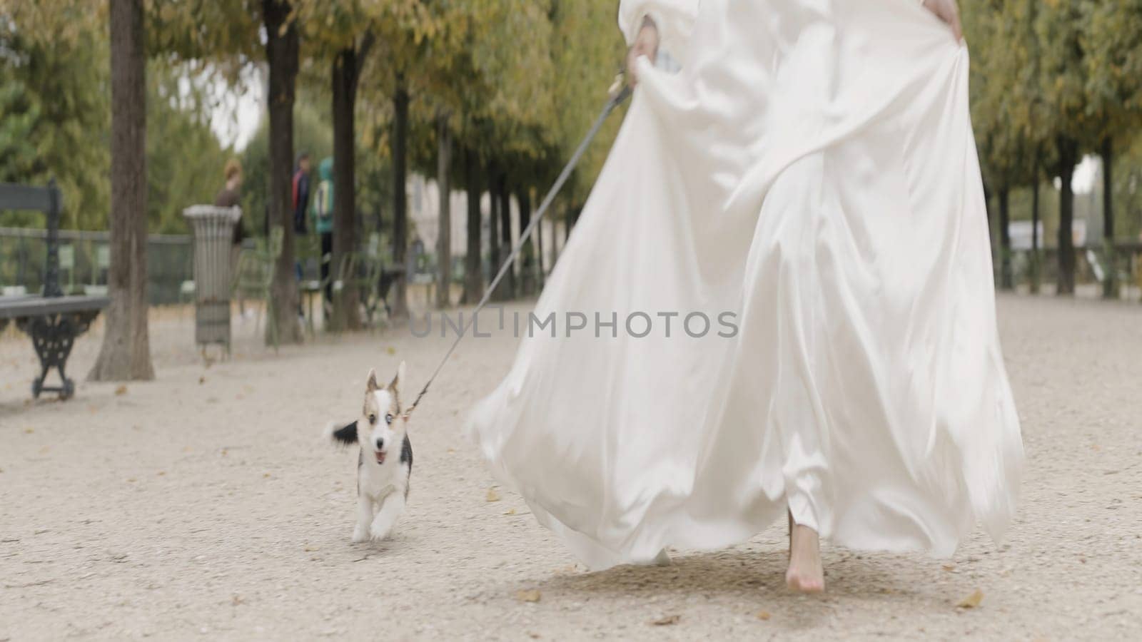 Wedding photography with your favorite pet. Action. A beautiful model running with a dog and sitting with her husband walking her companion. High quality 4k footage