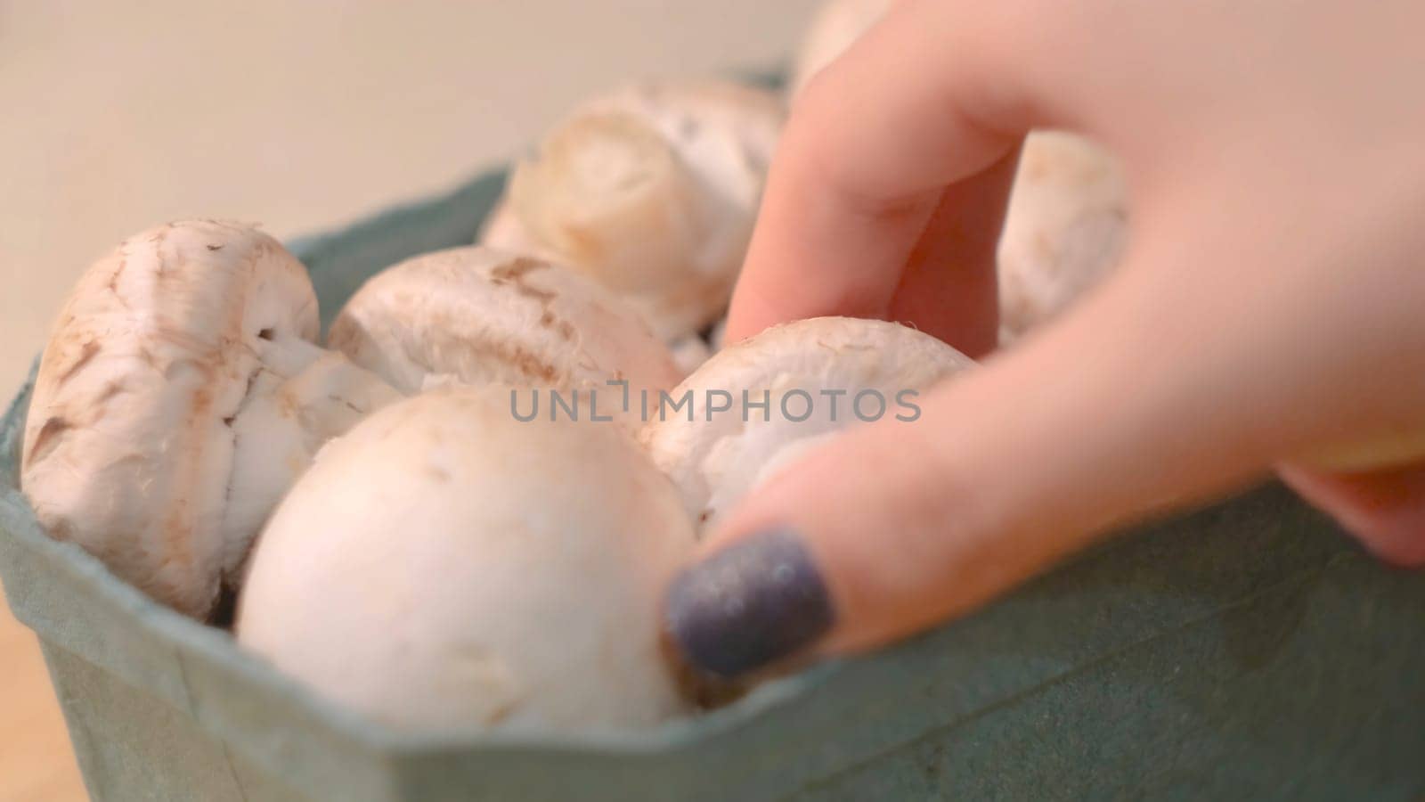 Close-up of hand taking champignon. Concept. Woman chooses fresh mushrooms for cooking. Raw champignons for home cooking.