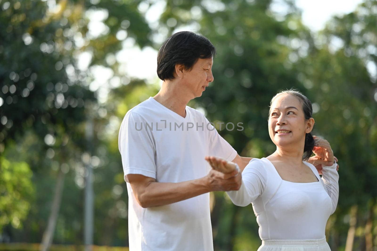 Happy senior people practicing traditional Tai Chi Chuan in nature on a sunny summer day