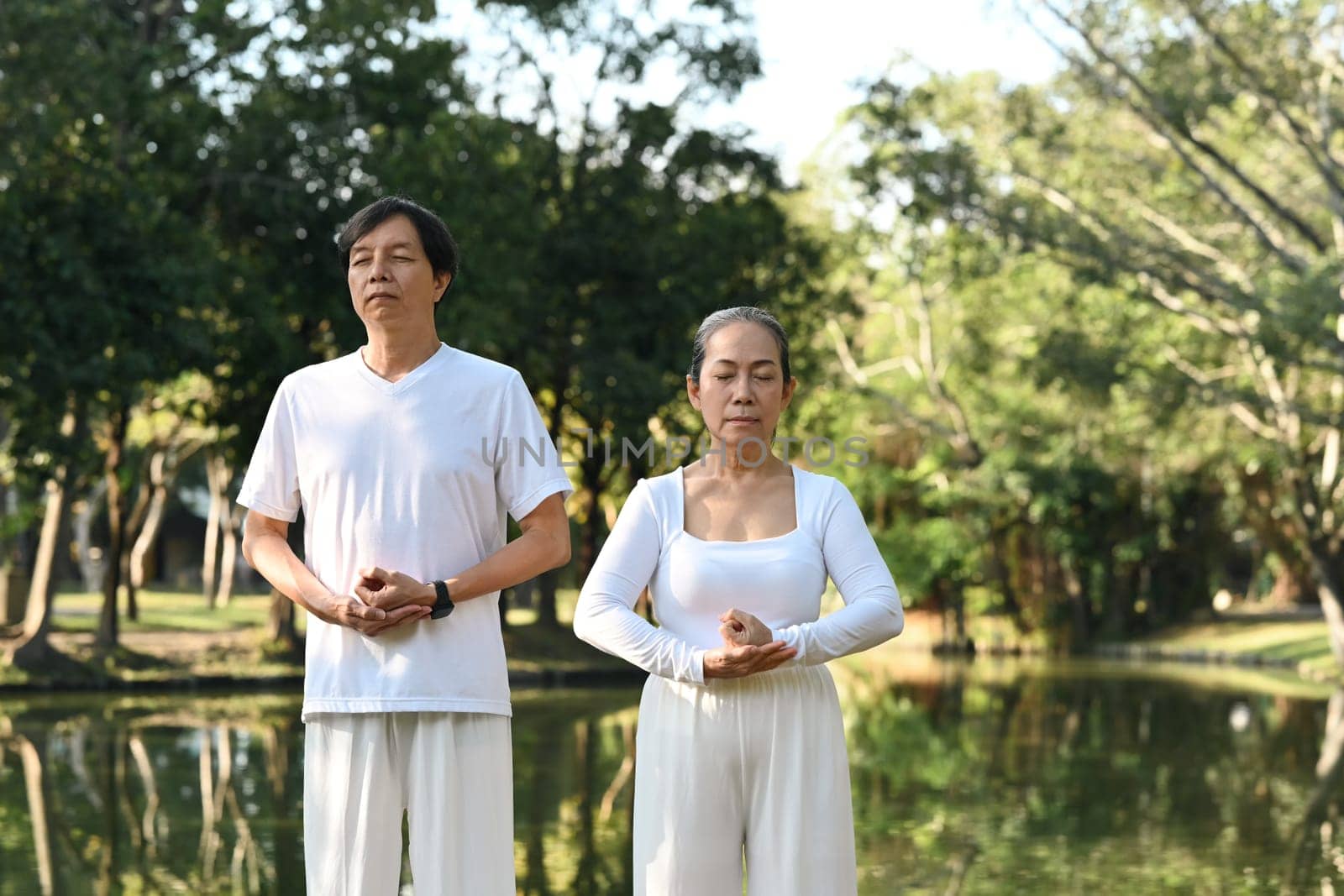 Peaceful middle age man and woman doing Tai Chi Chuan near lake at summer park