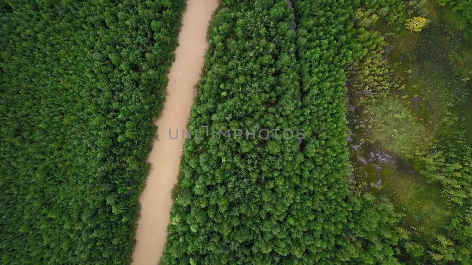 Top view of dirty river in forest. Clip. Dirty muddy river flows calmly in green forest. Brown river in forest area on sunny summer day.