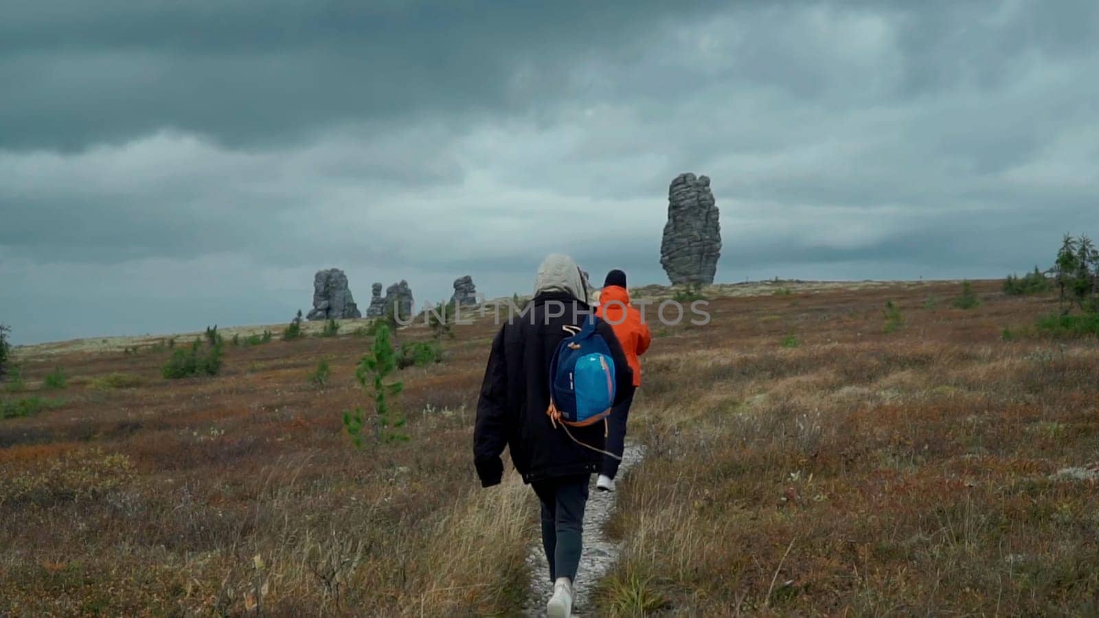 View of a deserted field. Clip. Walking people on a deserted windy field in the background are a few trees and a sad gloomy gray sky