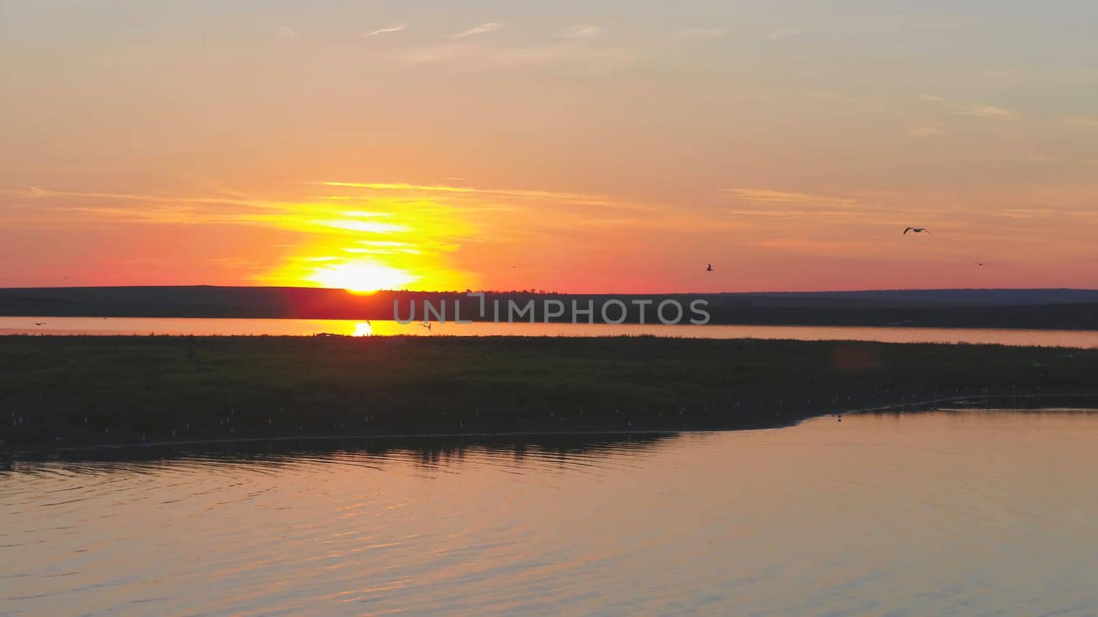 Seagulls bird fly above the river at sunset time. Birds fly at sunset. Sunset on the river, aerial.