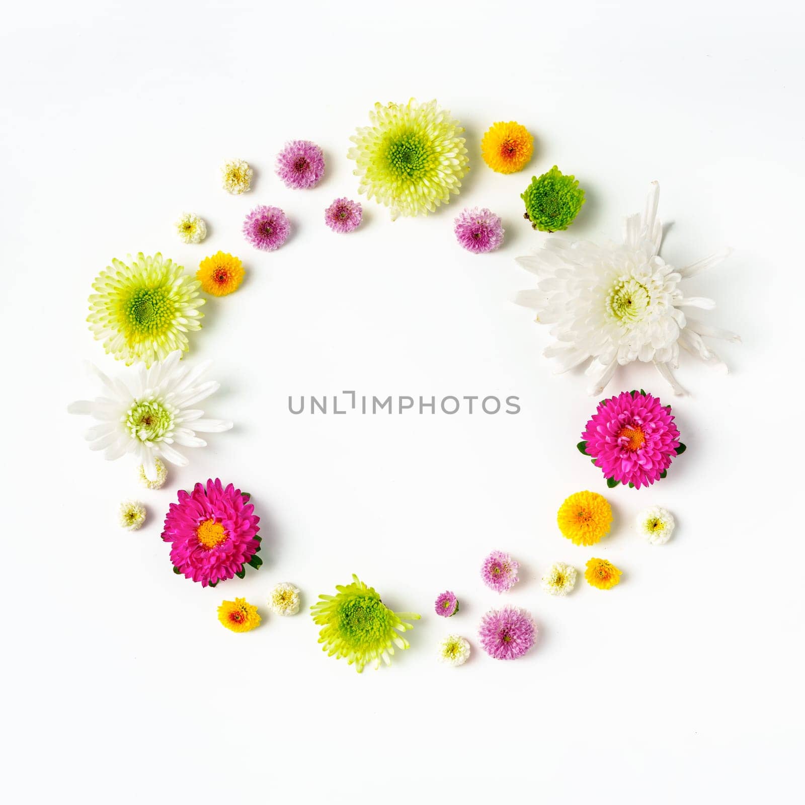 Small spring flowers arranged on white background copy space