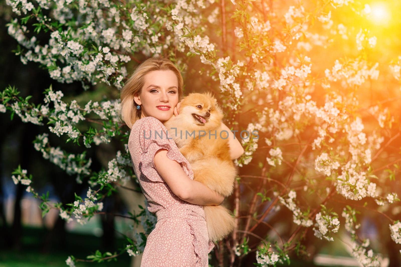 Attractive young woman holding dog spitz outside and smiling at camera, walking in the park. Concept about friendship between people and animals.