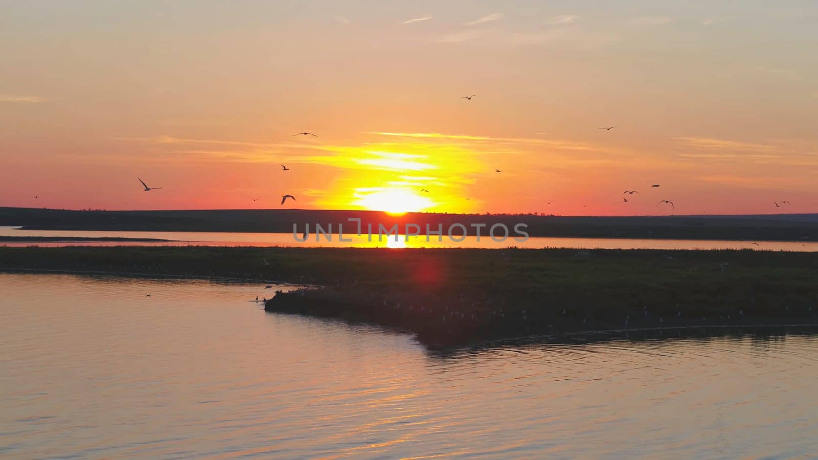 A flock of birds on the background of colorful sky. Sunset on the river. Island of gulls. Birds fly at sunset, aerial.