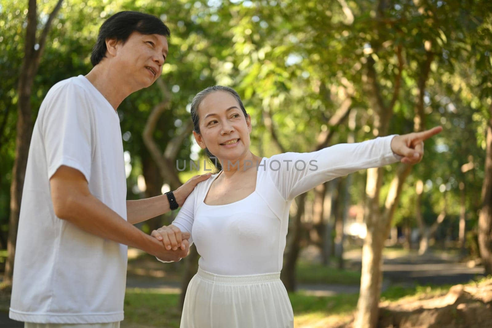 Portrait of lovely senior couple walking together in summer park together. Retirement lifestyle concept. by prathanchorruangsak