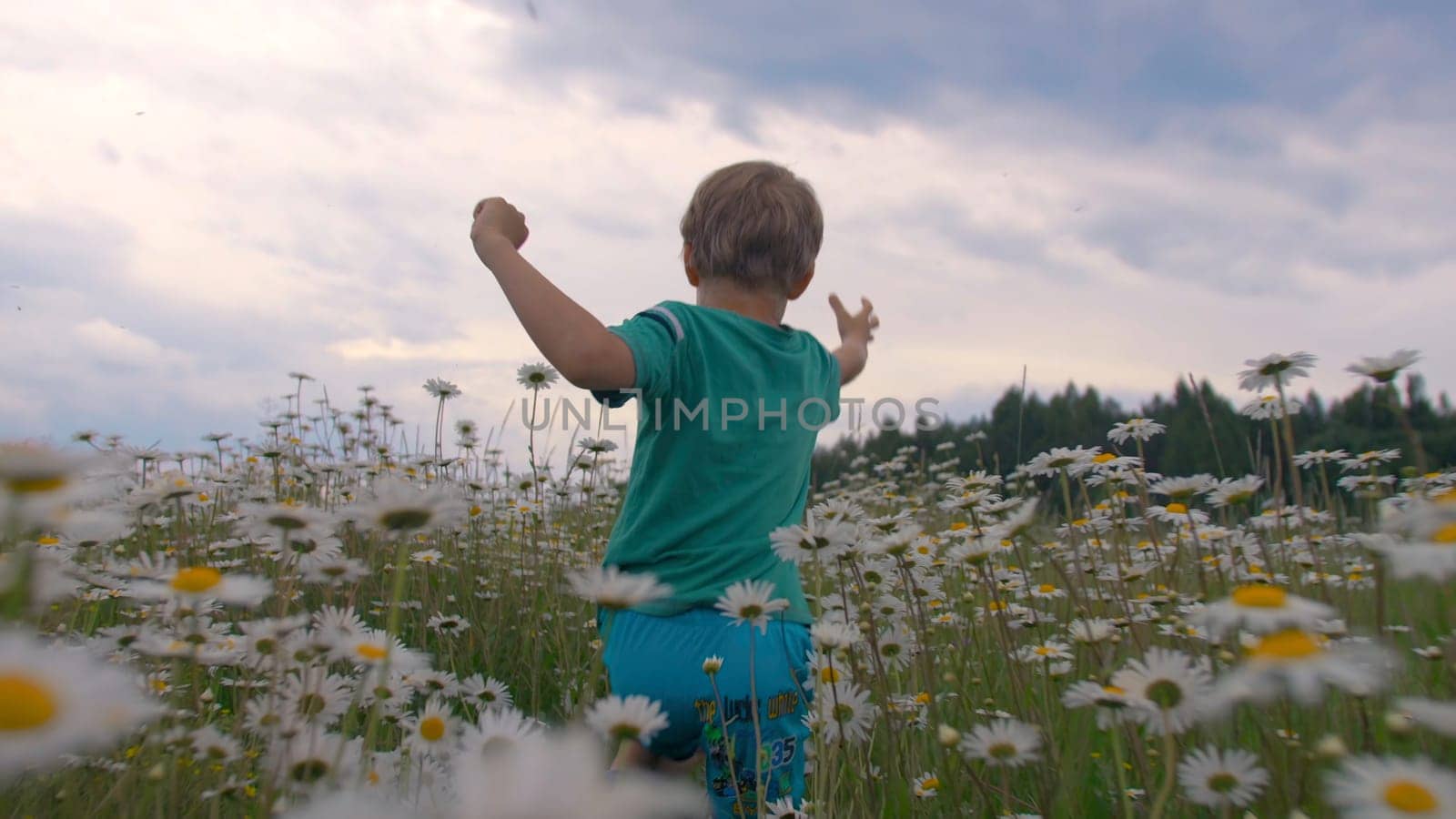 A boy running through a field with daisies. Creative. A small child with long brown hair runs through a field with white small flowers in front of tall trees in front of a blue cloudy sky. High quality 4k footage