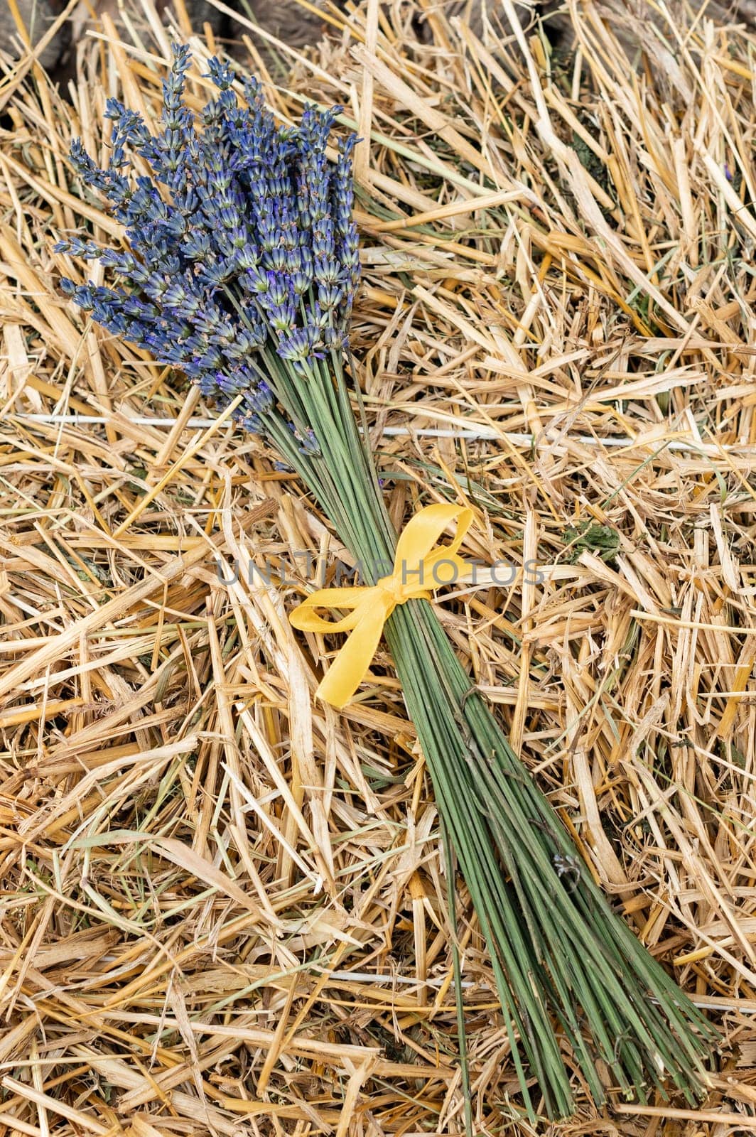 A bouquet of violet-blue lavender on a background of hay and straw