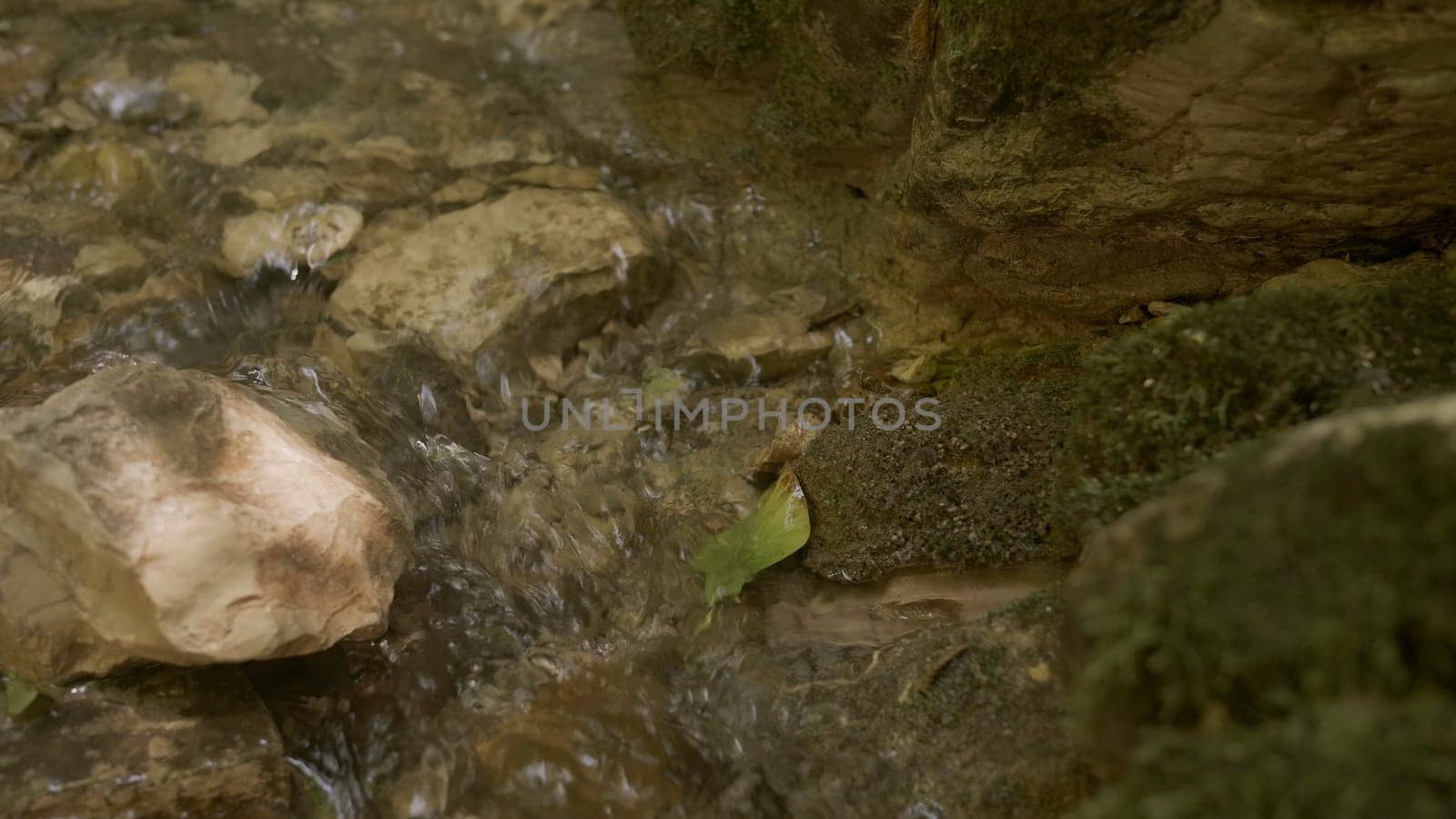 Wild mountain river running through stones in slow motion. Creative. Rapid clean flow in national park
