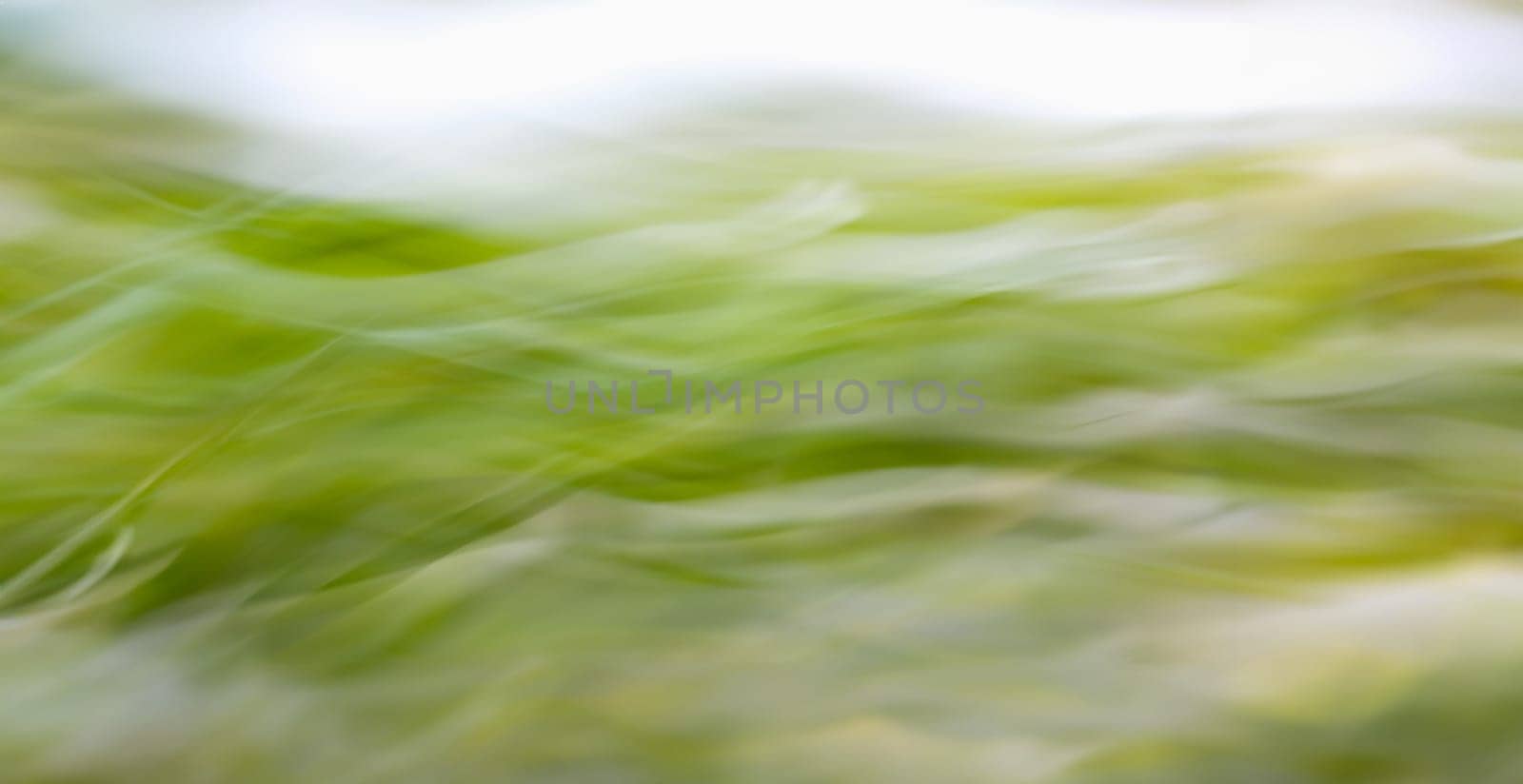Abstract green winter blured wave background concept