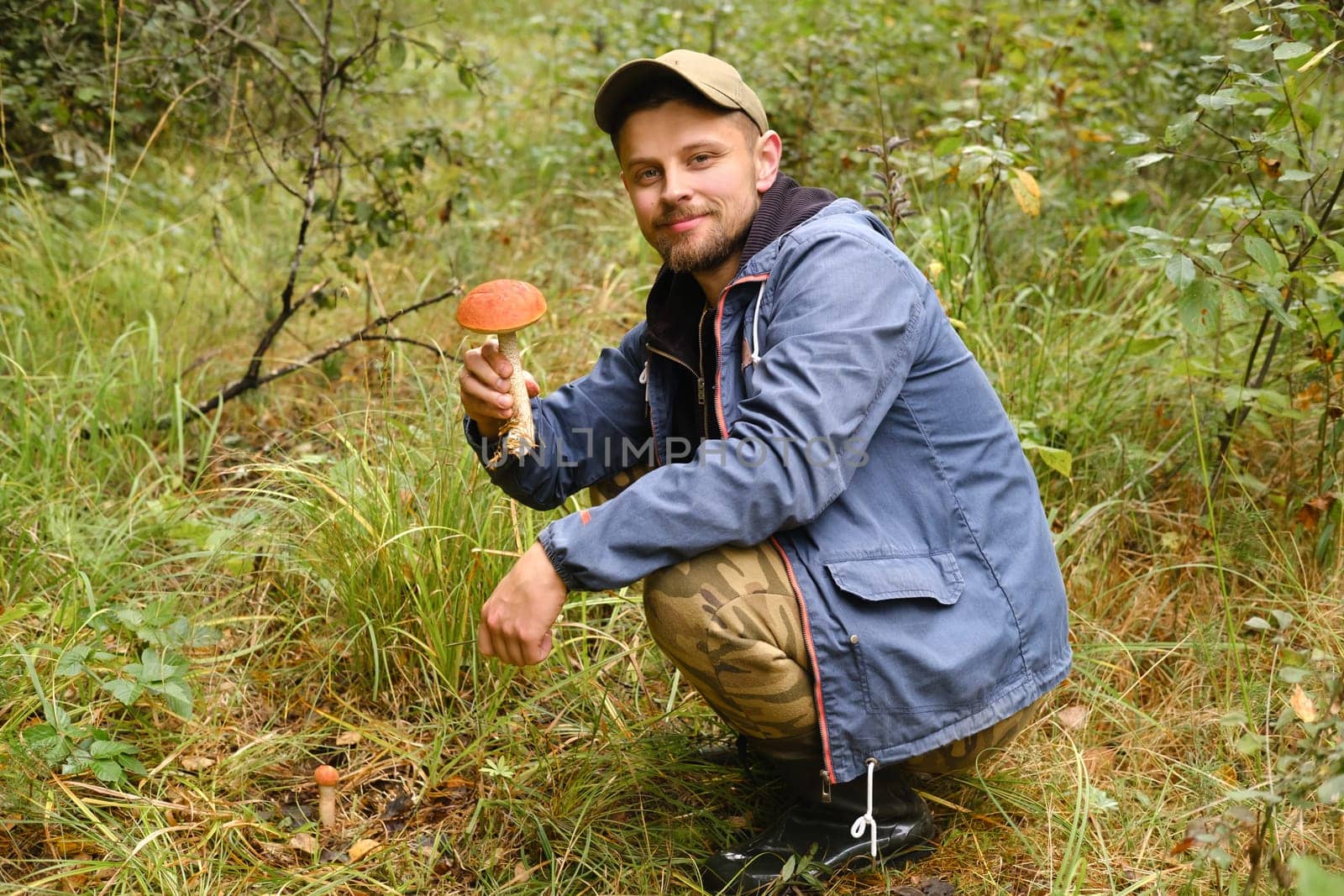 A mushroom picker holds in his hands an aspen bush growing in the forest. Mushrooms in the forest. Mushroom picking.