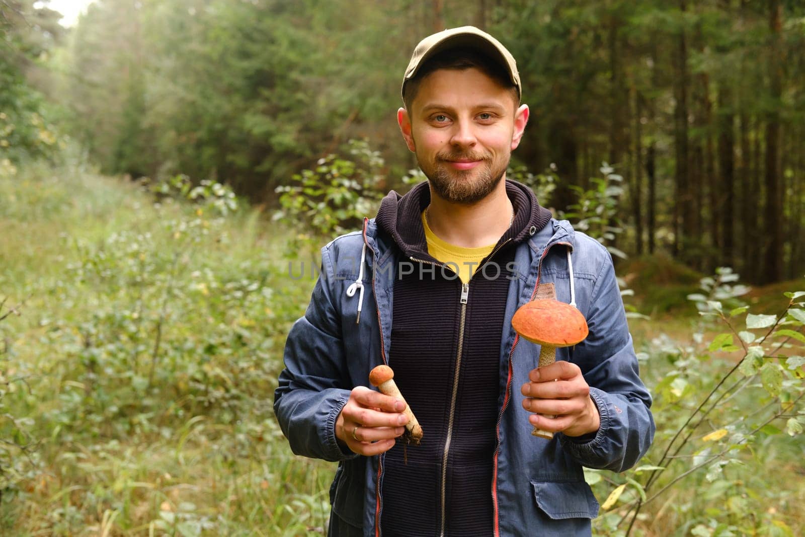 A mushroom picker holds in his hands an aspen bush growing in the forest. Mushrooms in the forest. Mushroom picking by Lobachad