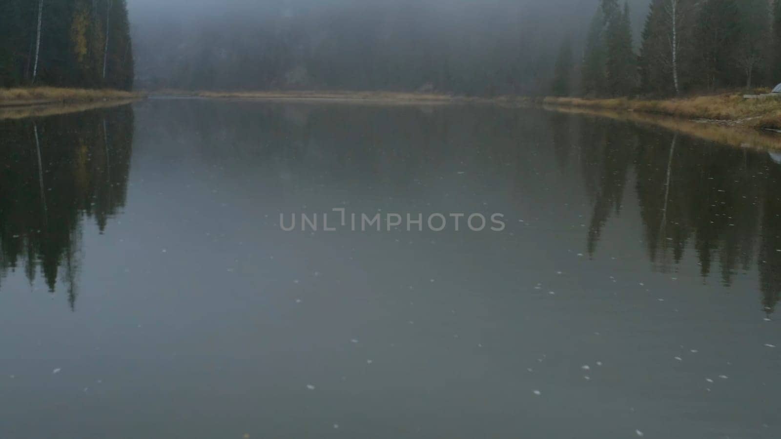 Dark landscape. Clip.Thick fog over a cold lake and forest and bare slightly green trees. High quality 4k footage