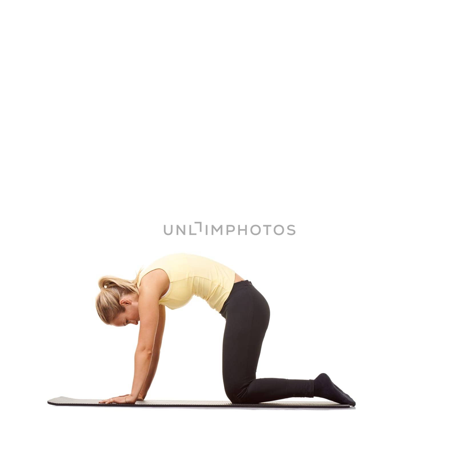 Woman, yoga and cat pose in studio for fitness, body workout or stretching exercise on mockup white background. Profile, healthy lady and bend back for strong core, spine extension or training on mat.