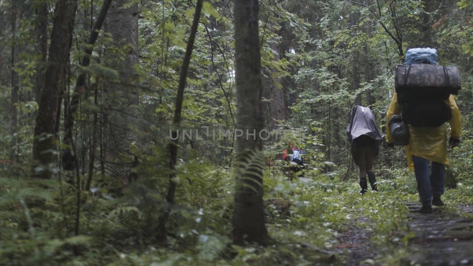 Rear view of the group of people with backpacks trekking together and climbing in forest. Adventure, travel, tourism, hike concept, friends walking through the forest.